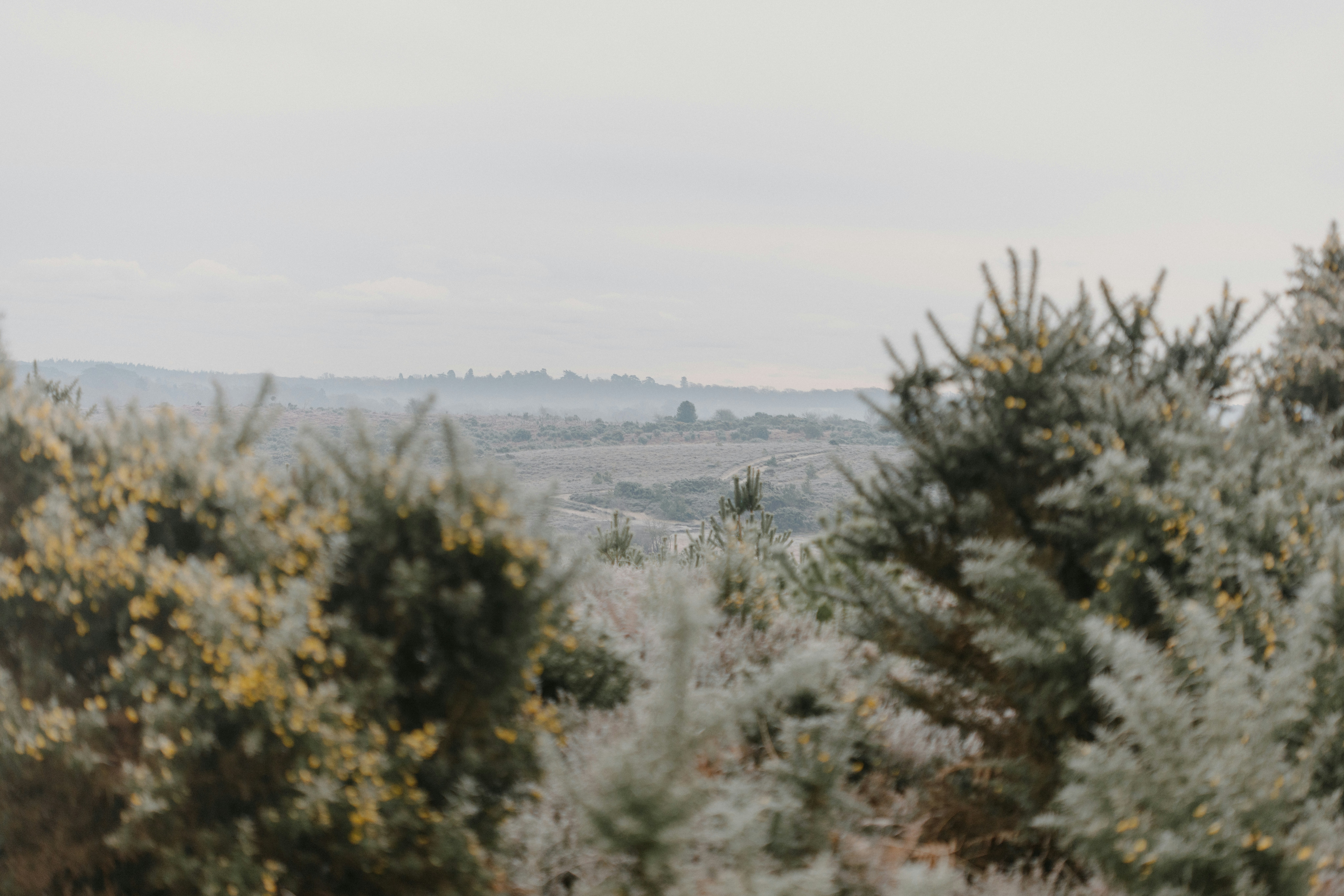 Photo by anniespratt