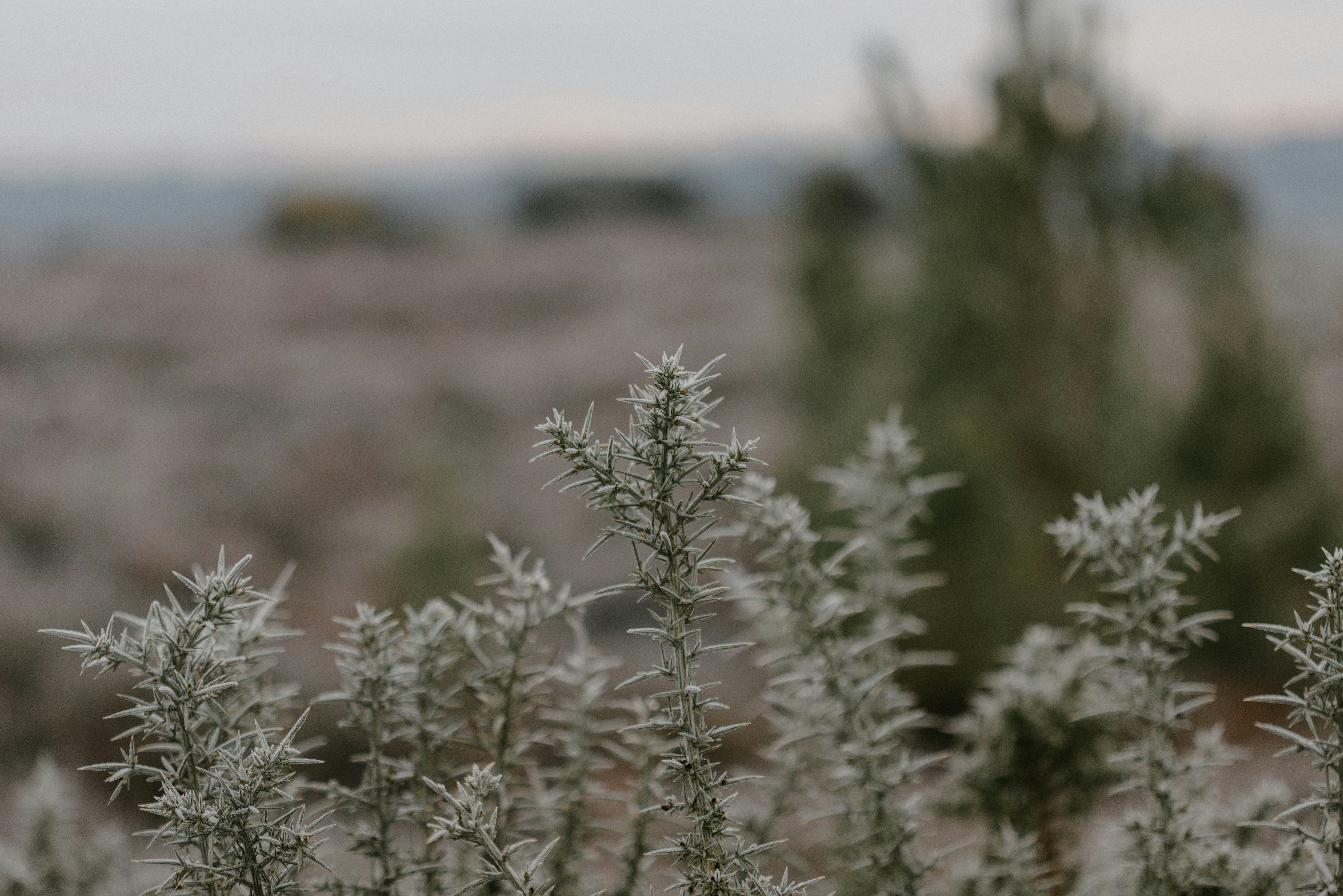 Photo by anniespratt