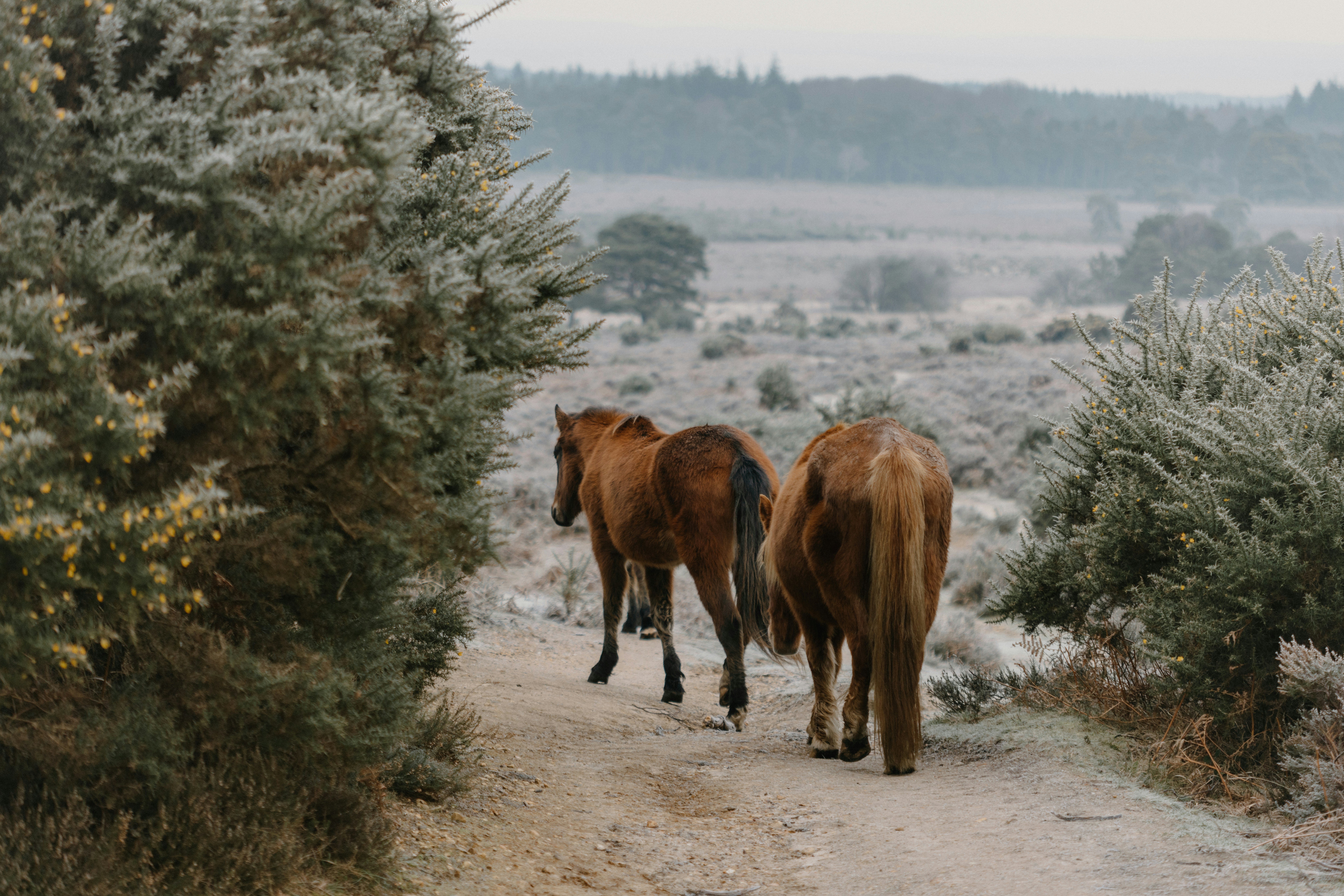 Photo by anniespratt