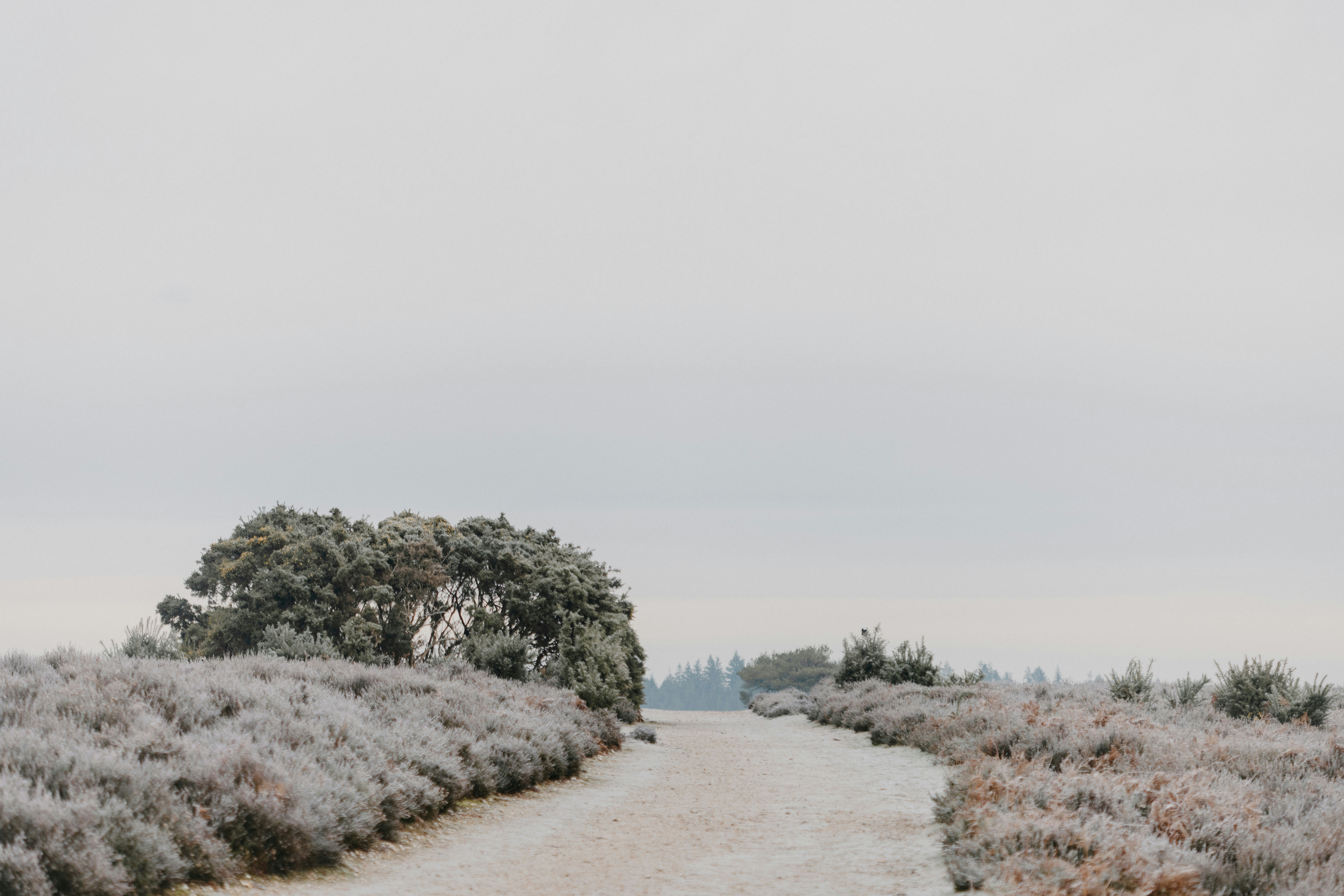 Photo by anniespratt
