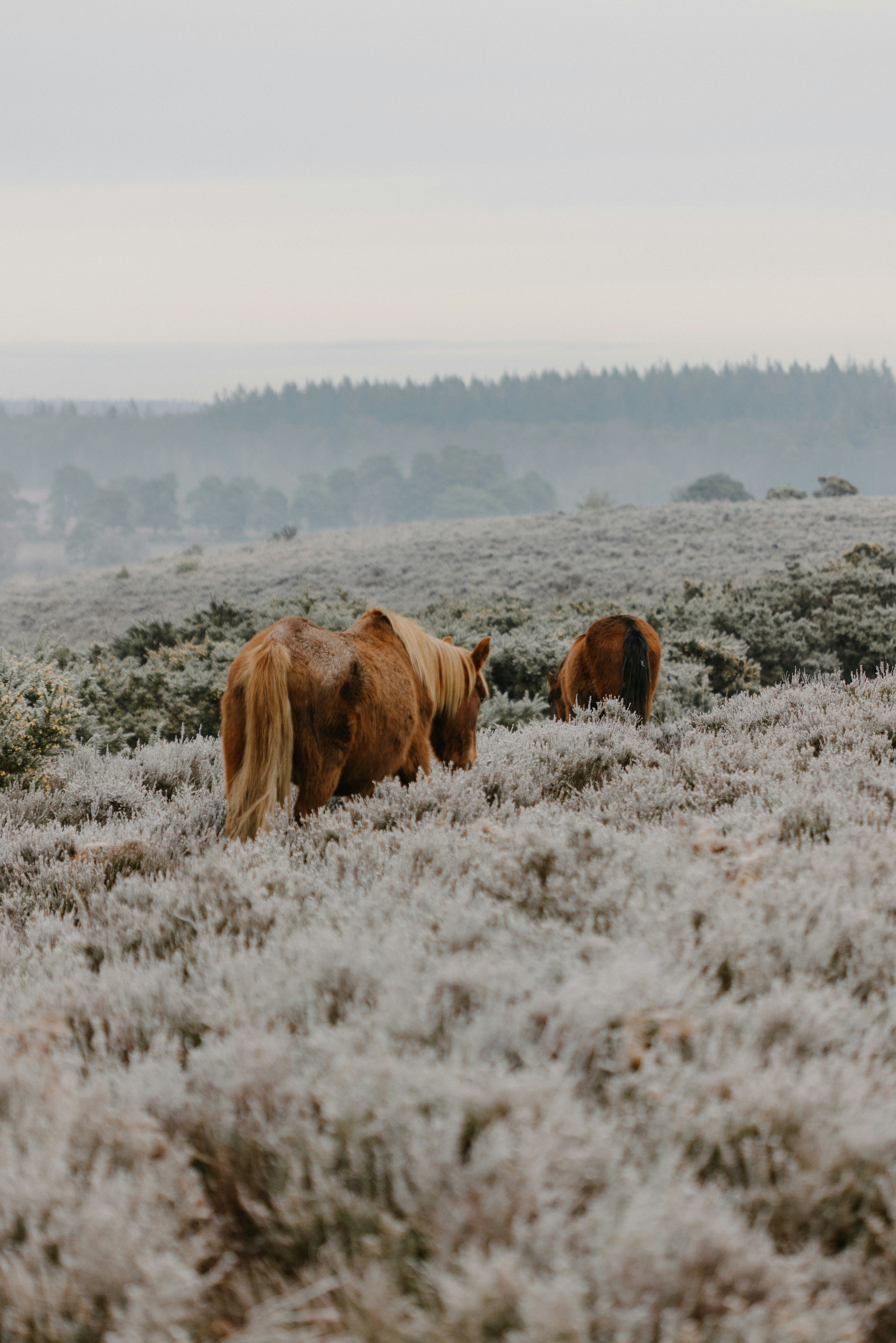 Photo by anniespratt