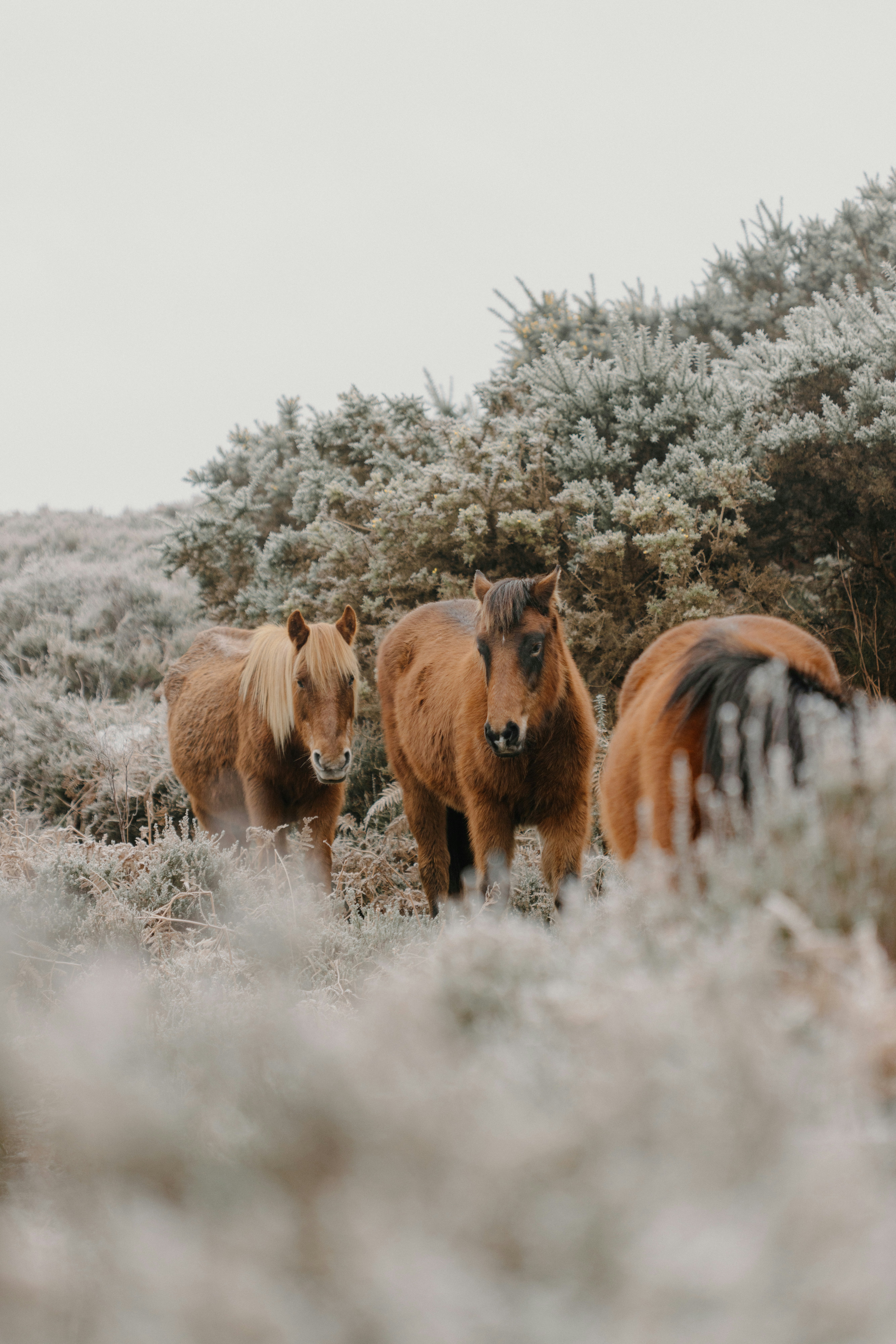 Photo by anniespratt