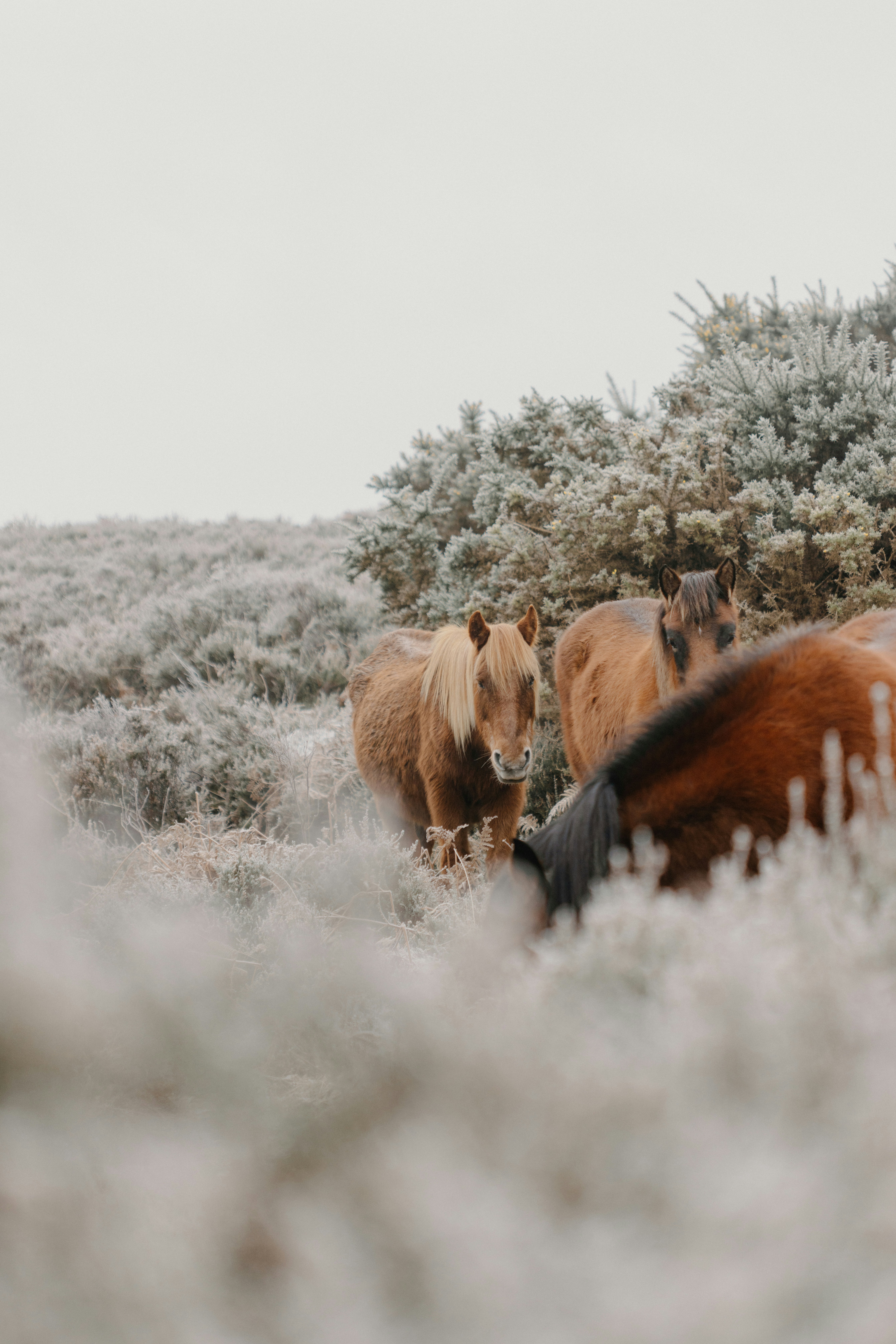 Photo by anniespratt