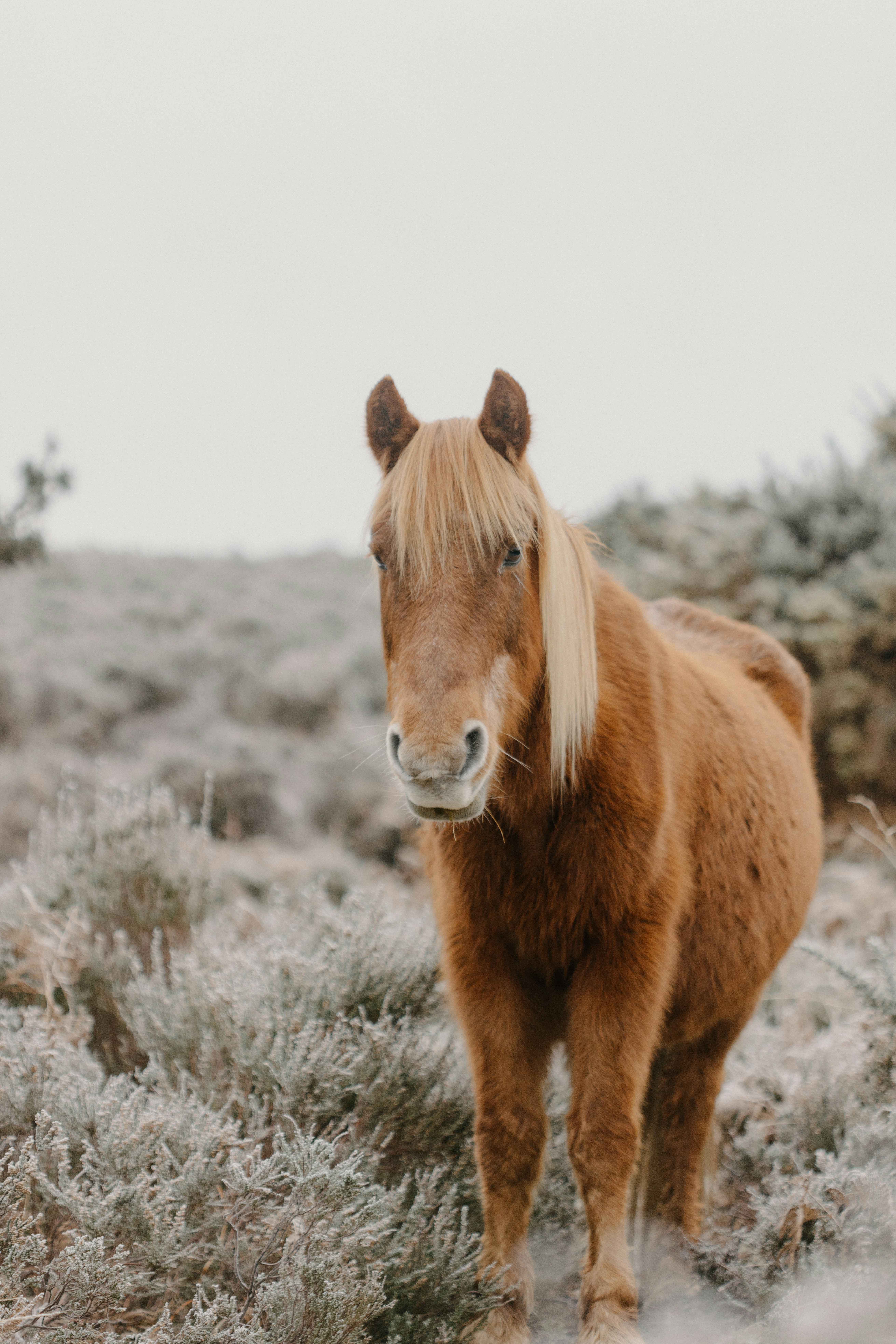 Photo by anniespratt