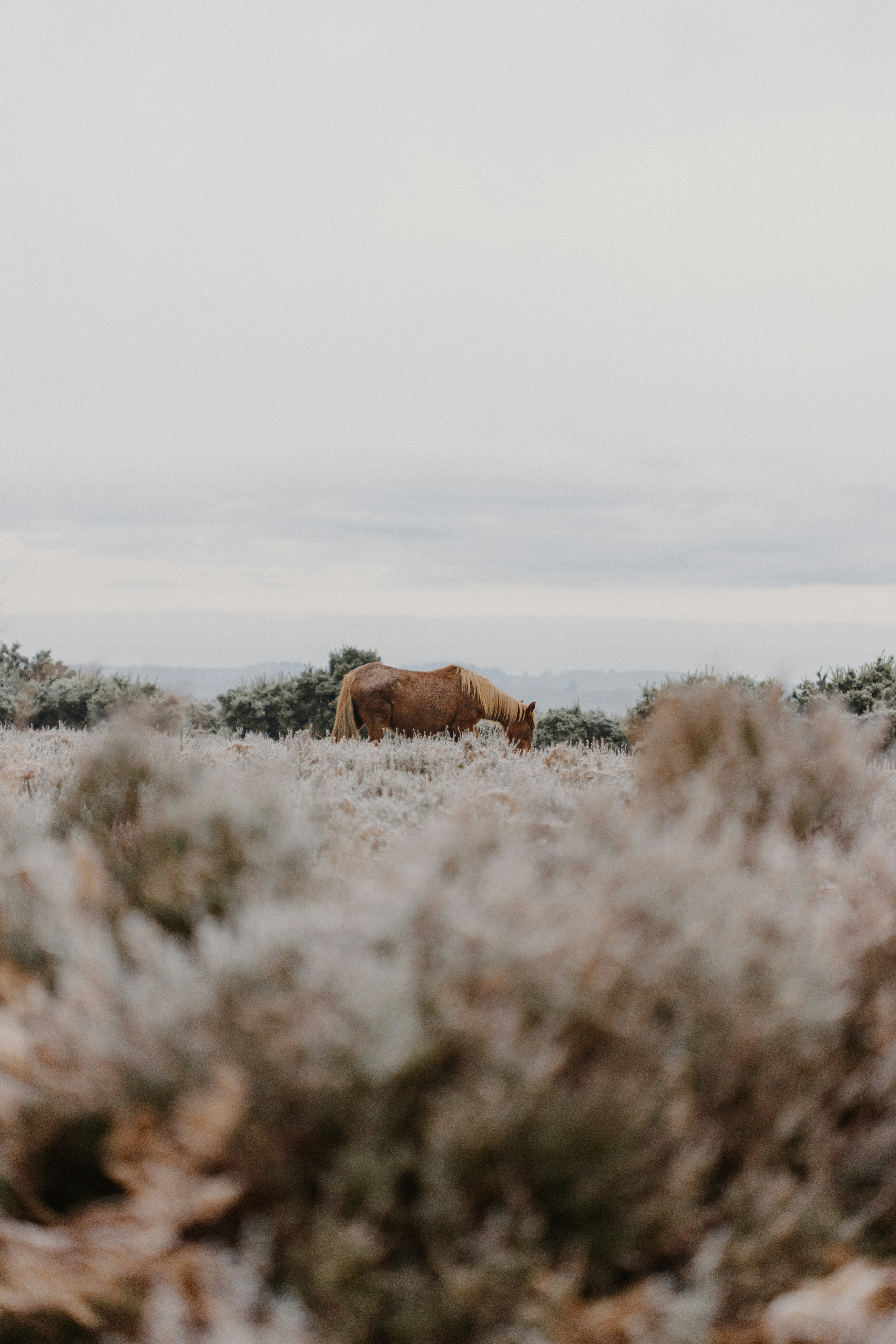 Photo by anniespratt