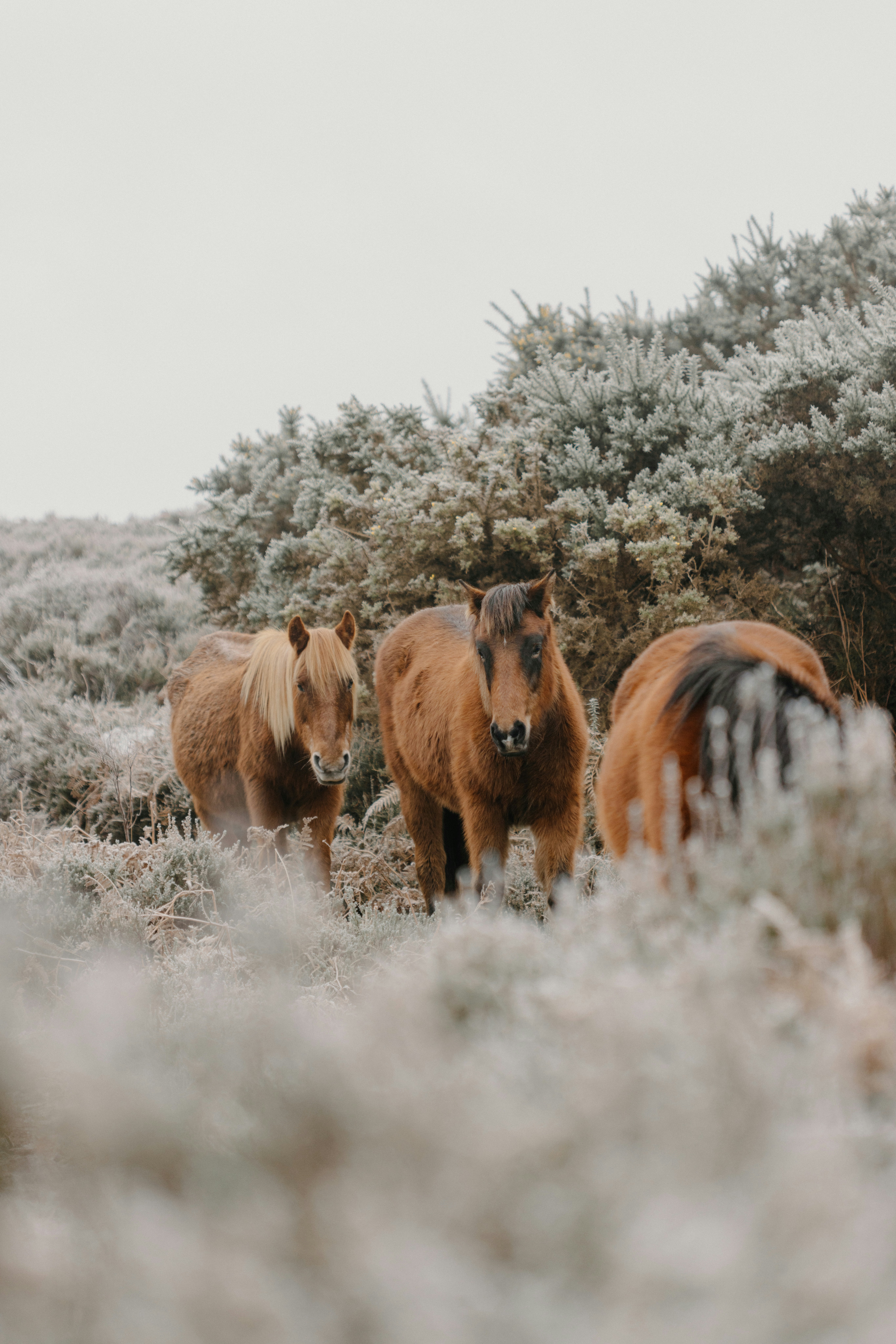 Photo by anniespratt