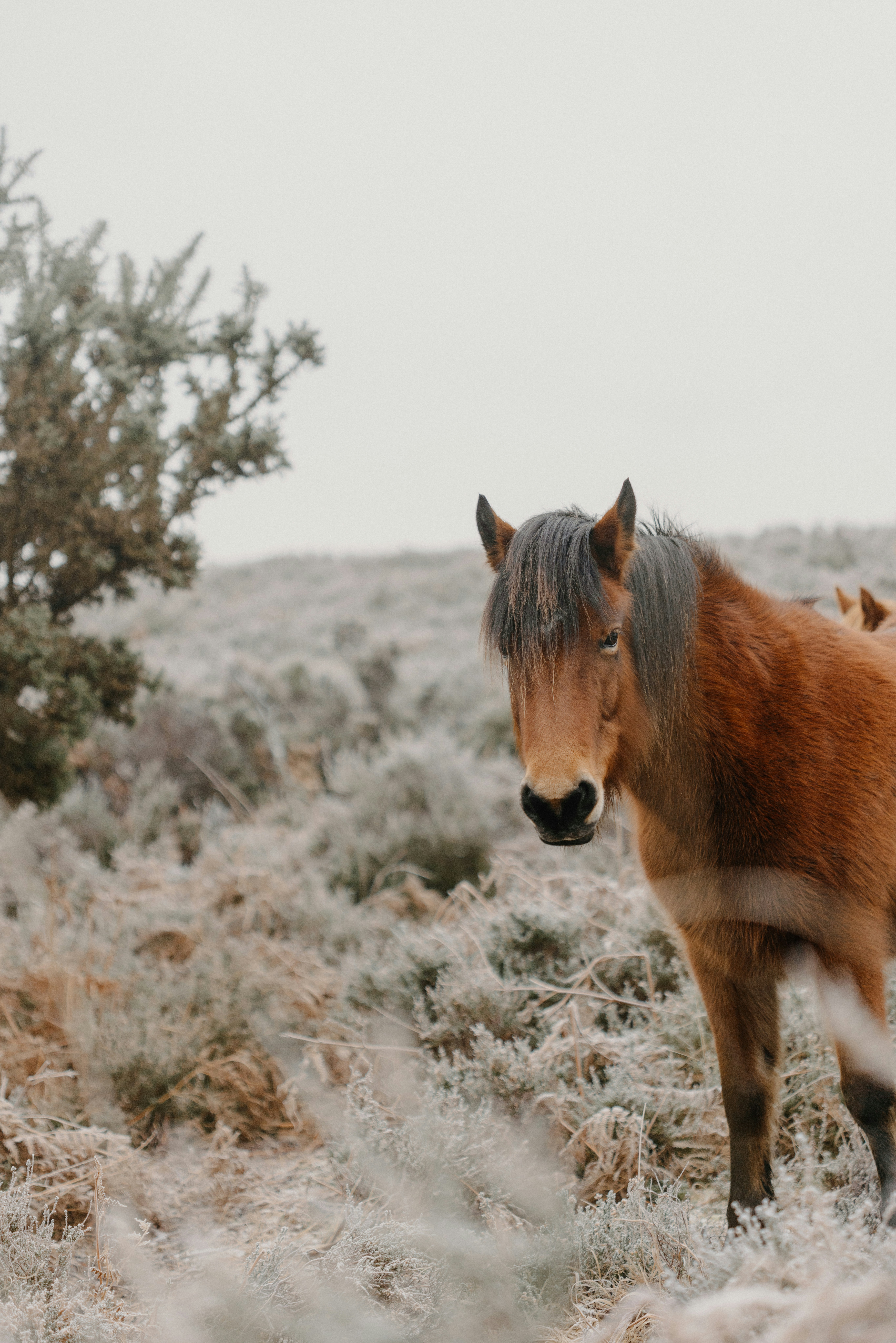 Photo by anniespratt