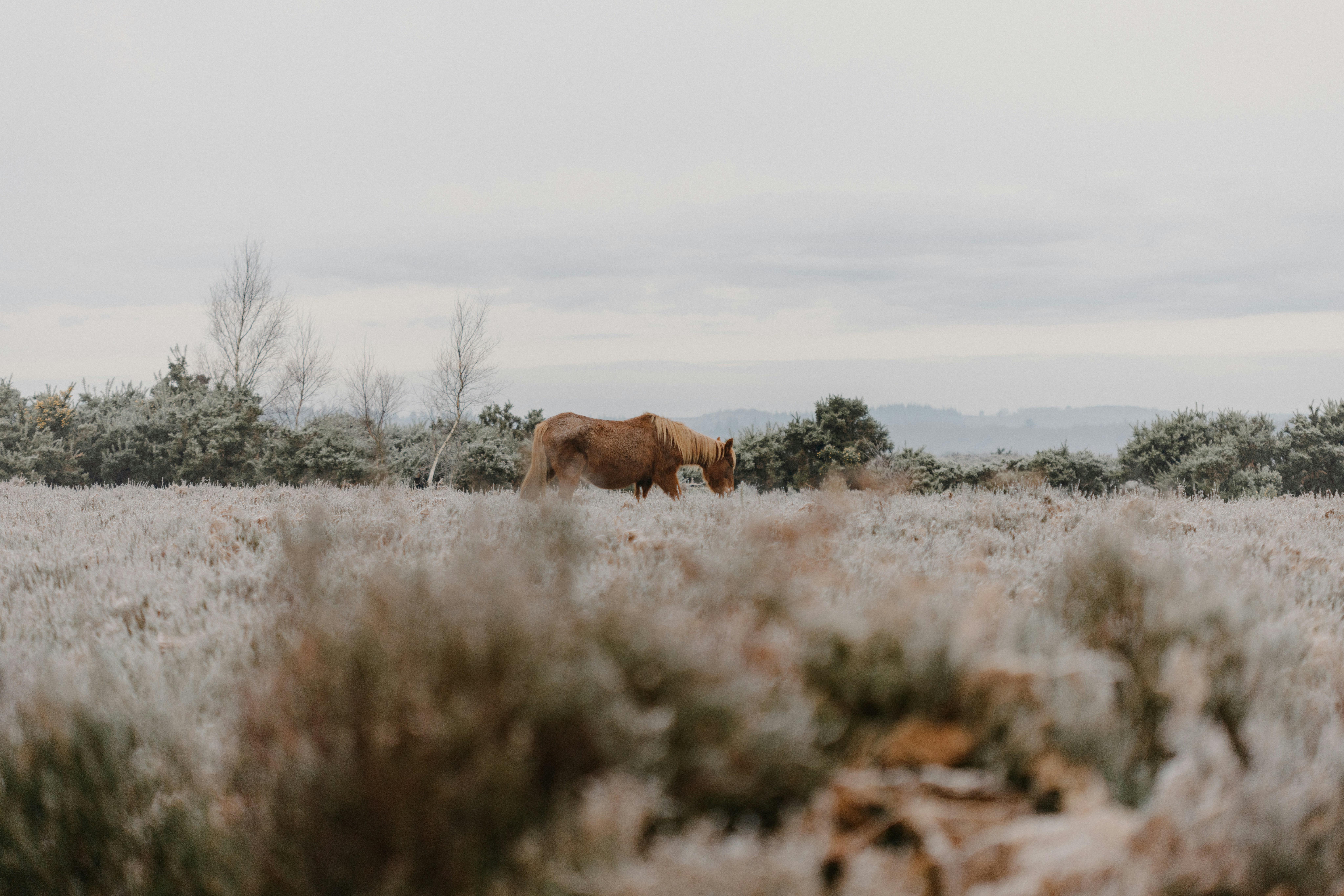 Photo by anniespratt