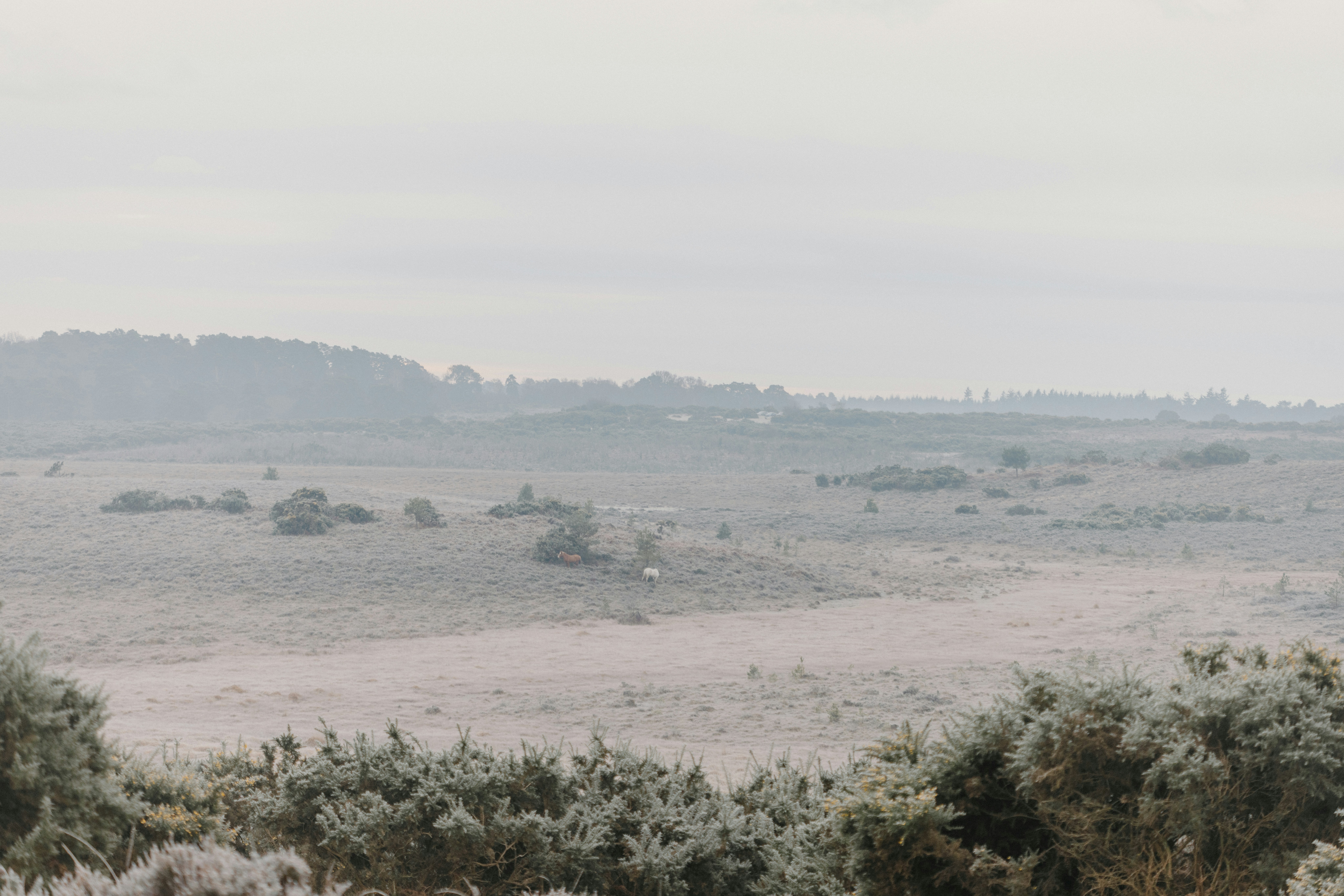 Photo by anniespratt