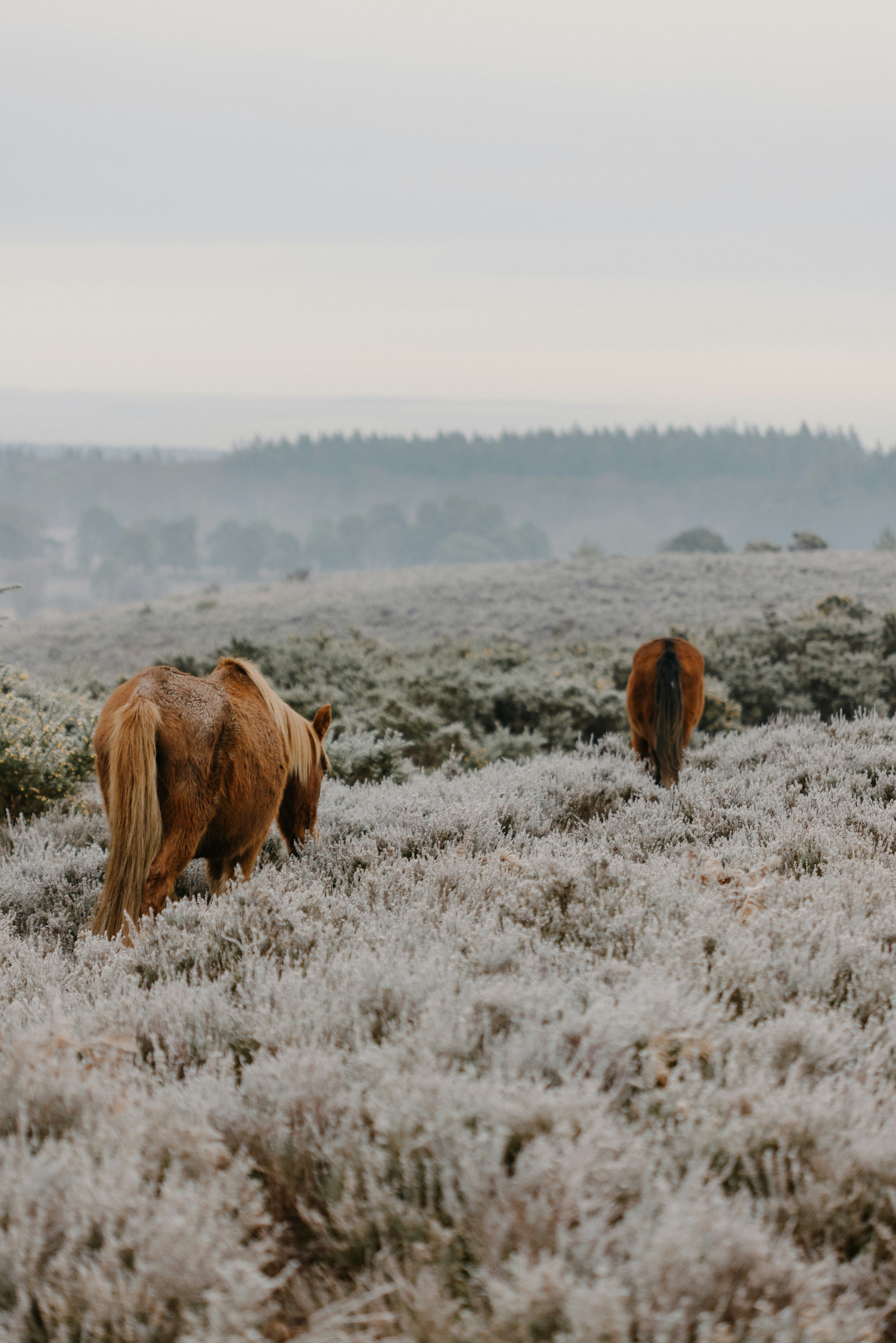 Photo by anniespratt
