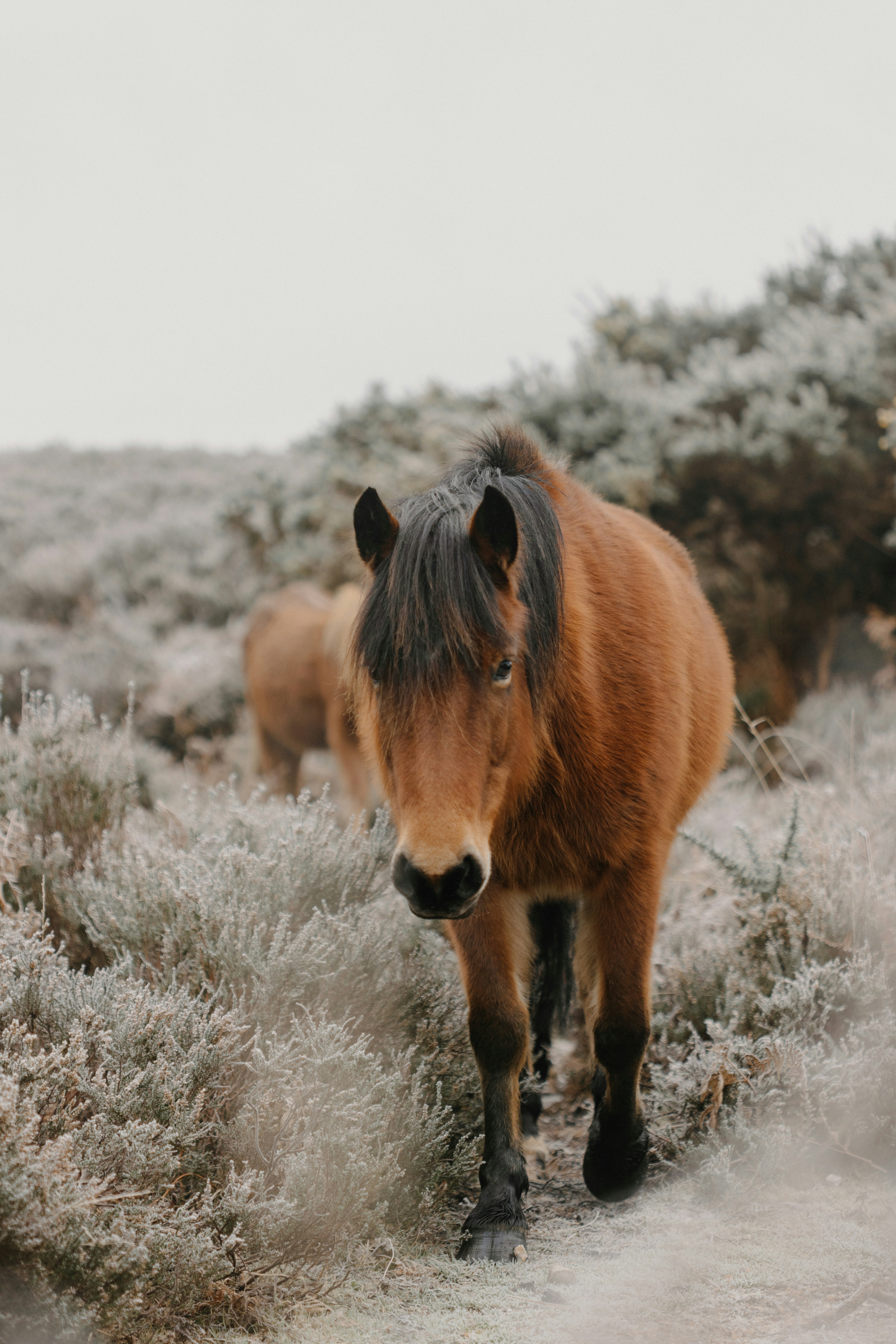 Photo by anniespratt