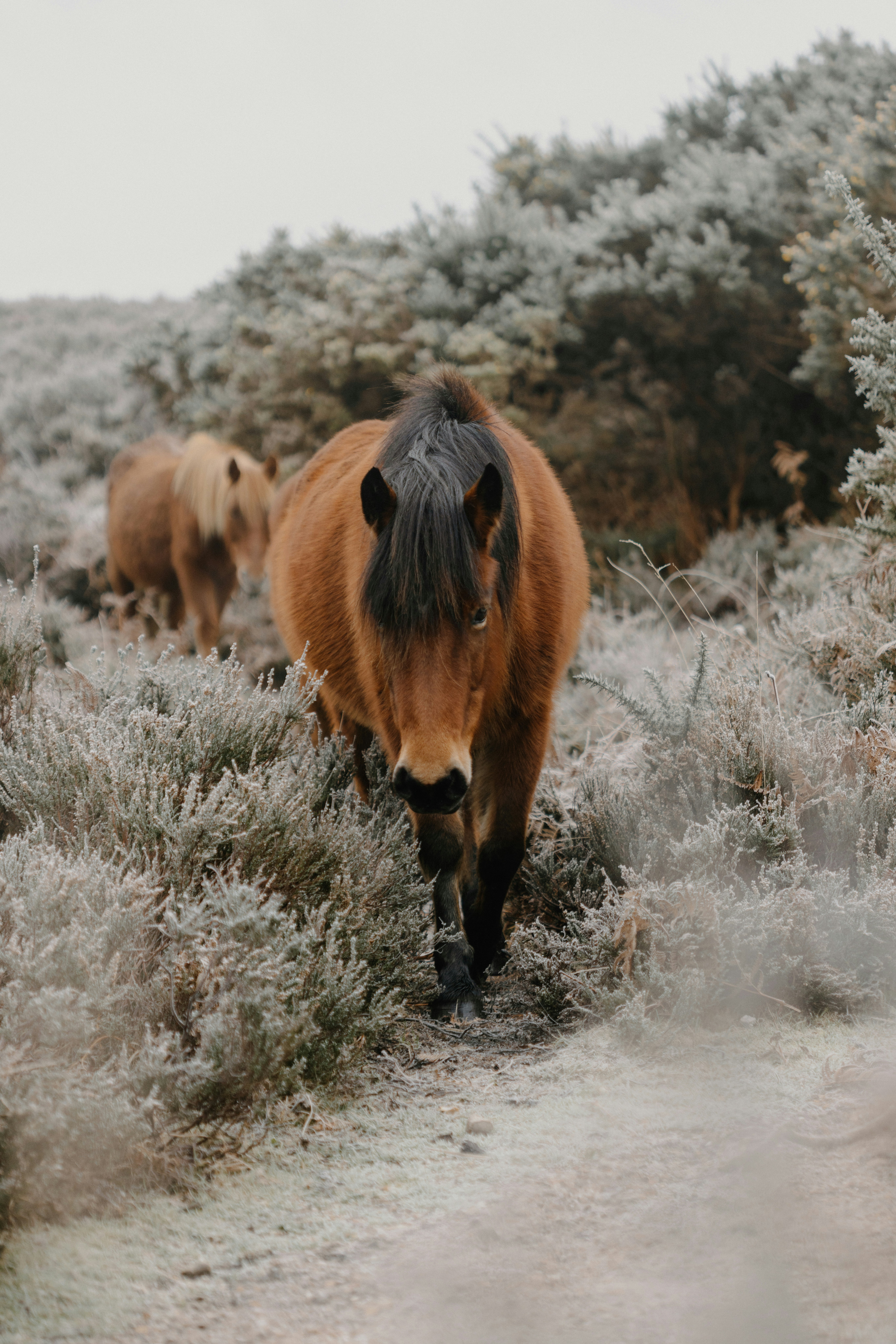 Photo by anniespratt