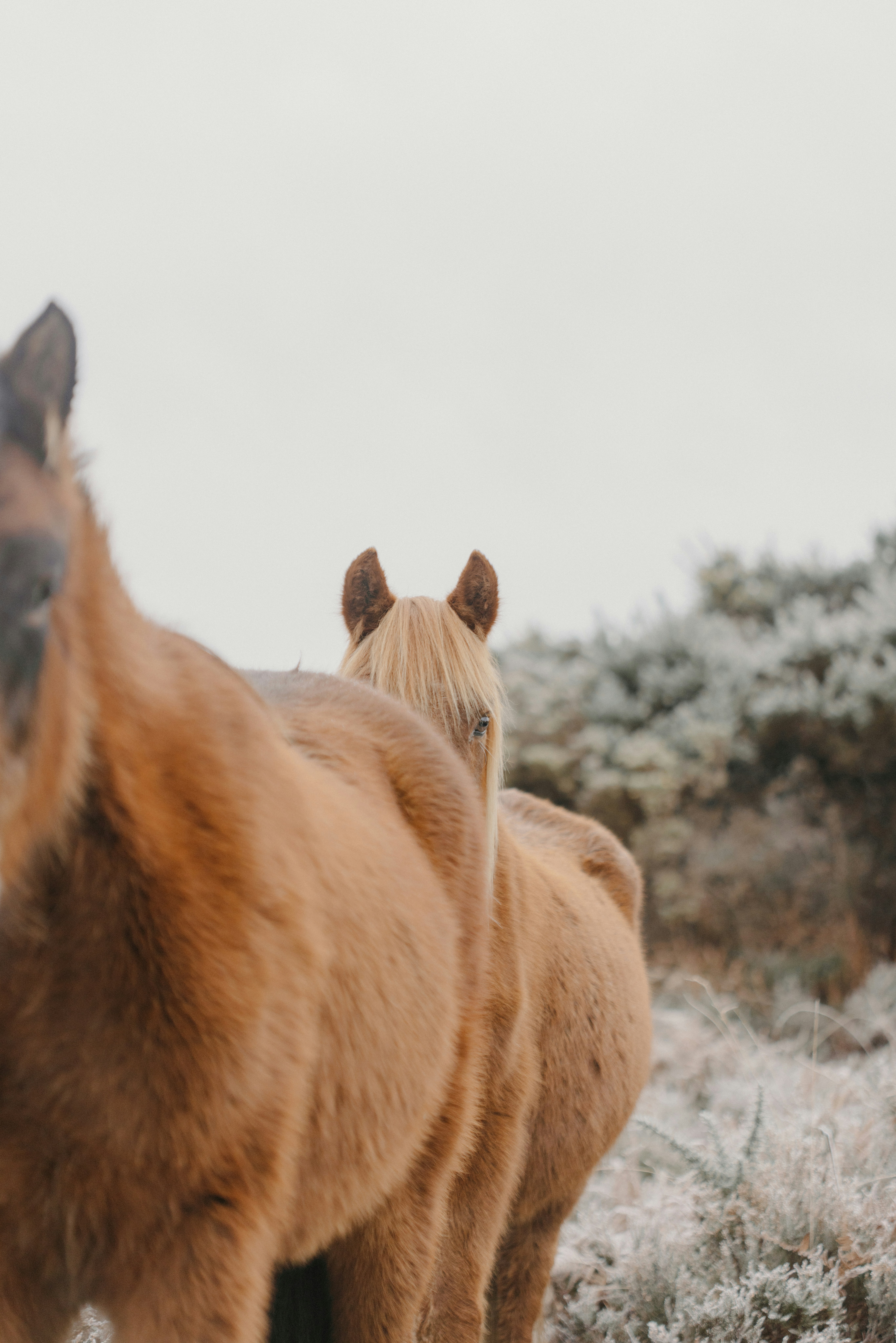 Photo by anniespratt