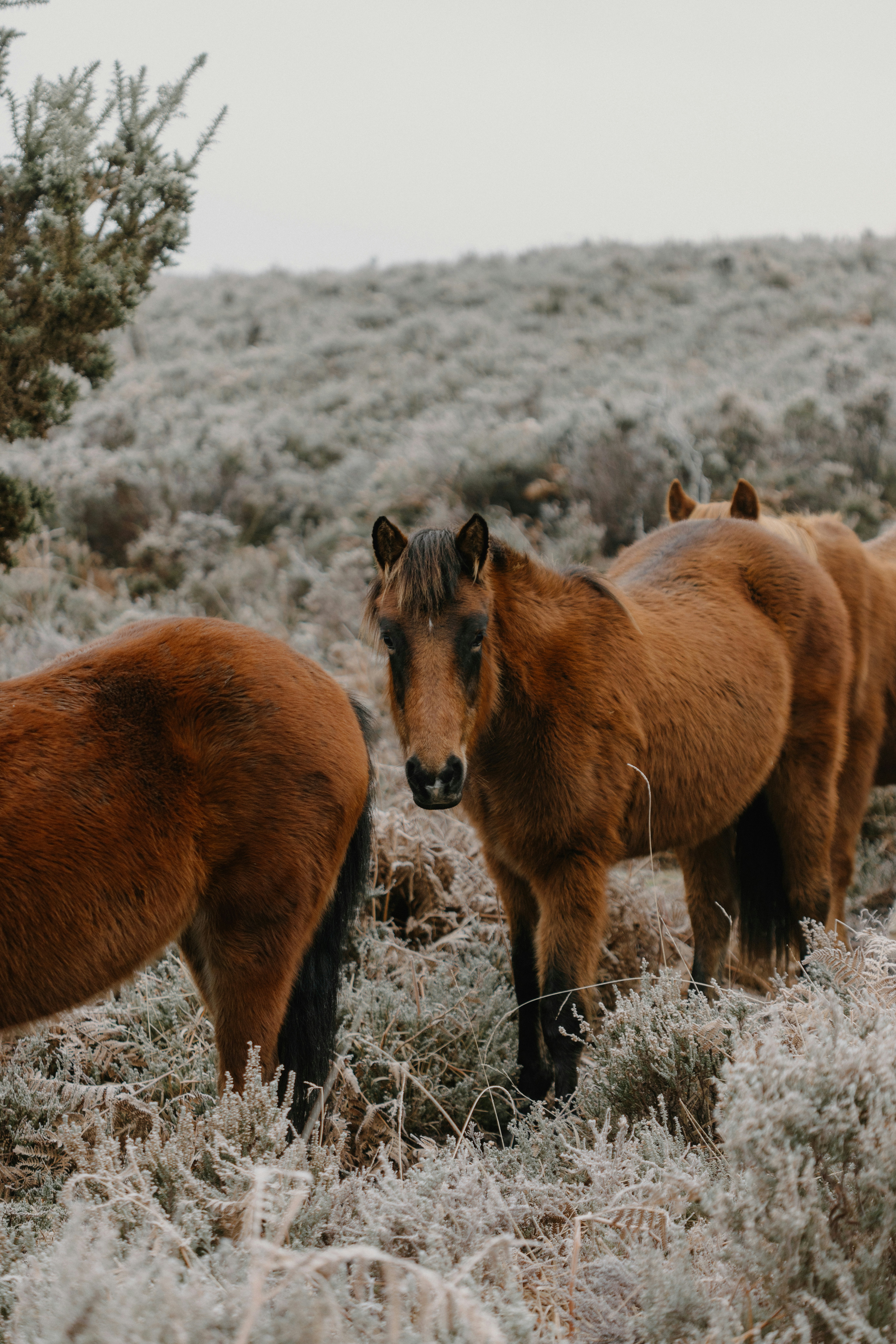 Photo by anniespratt