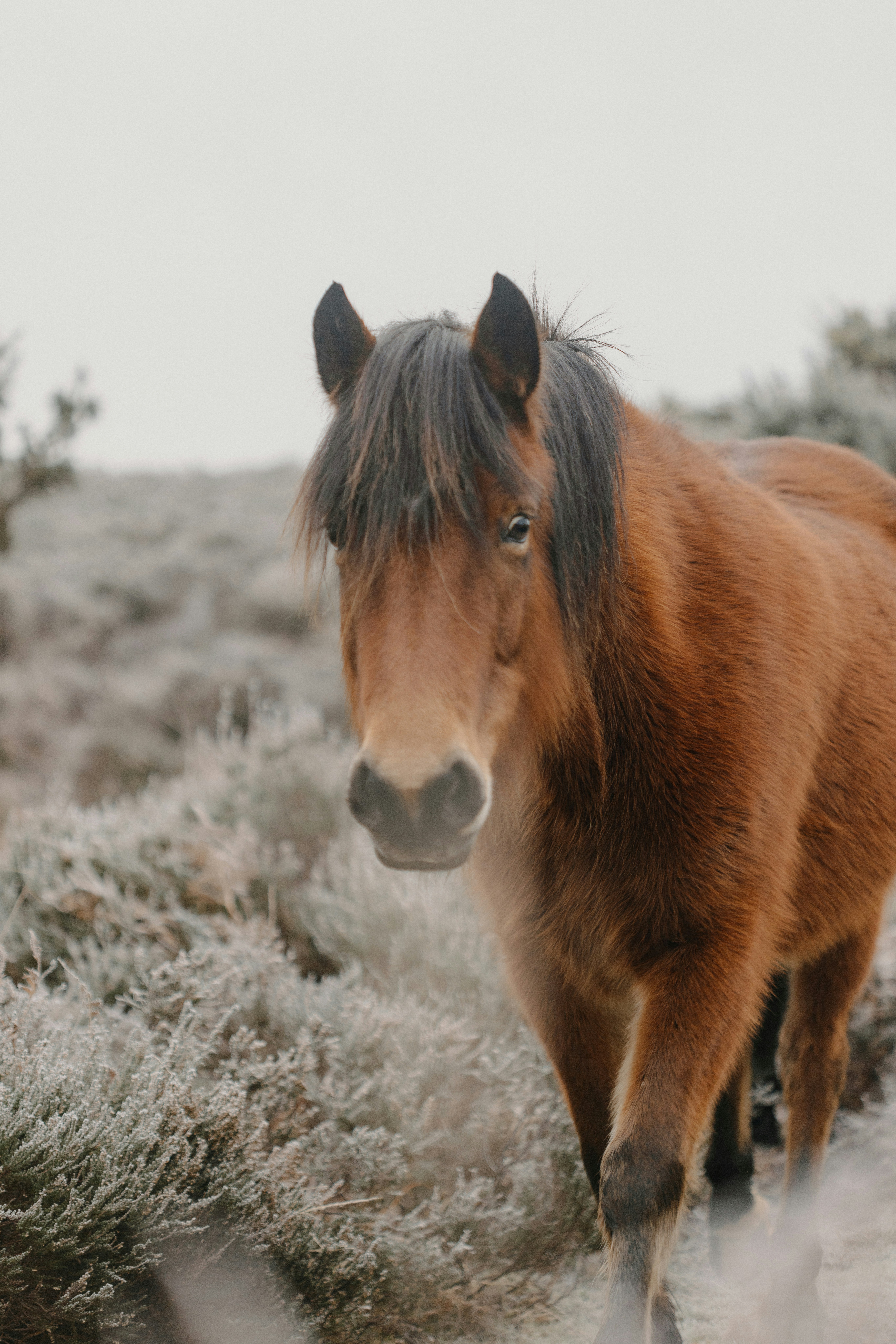 Photo by anniespratt