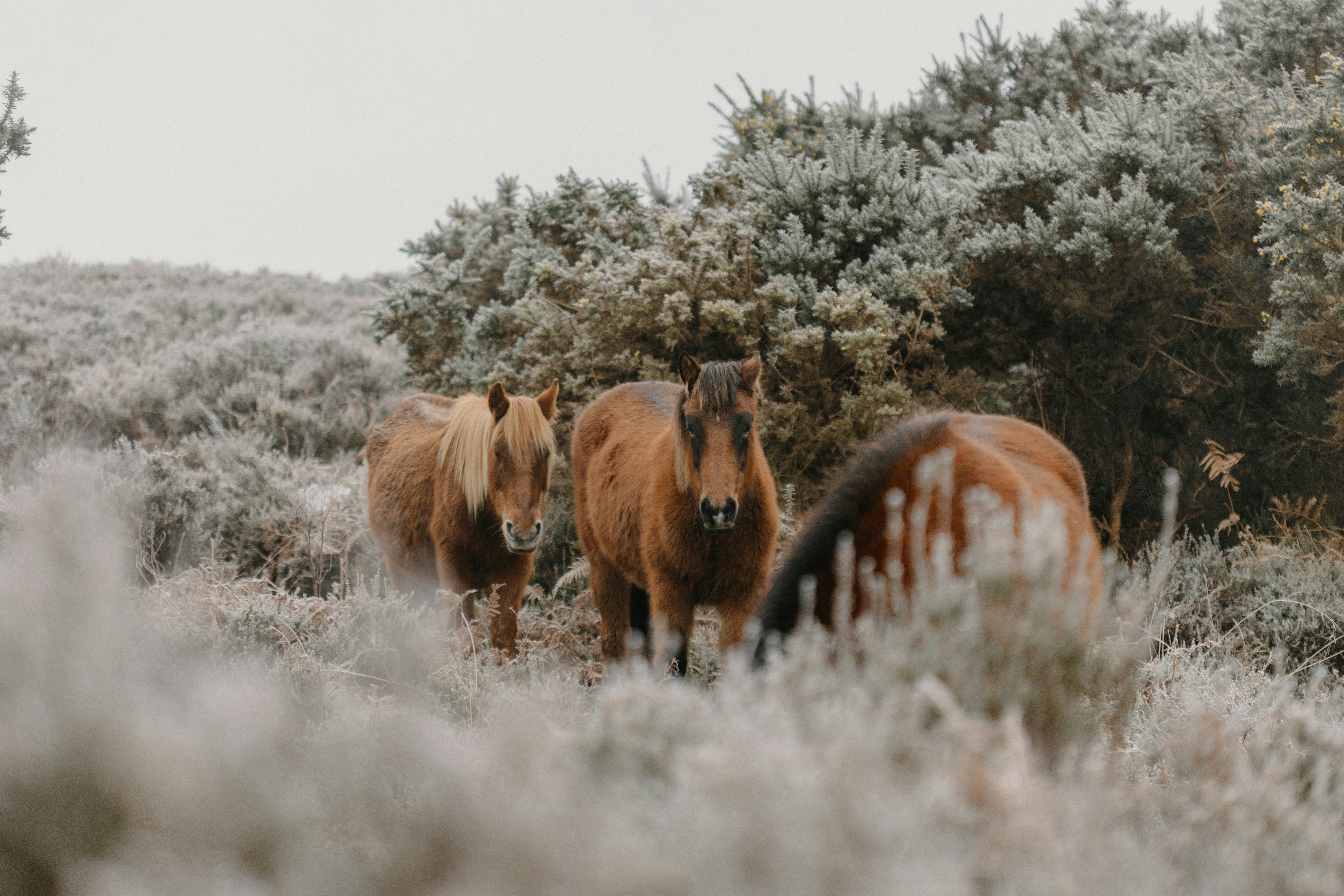 Photo by anniespratt