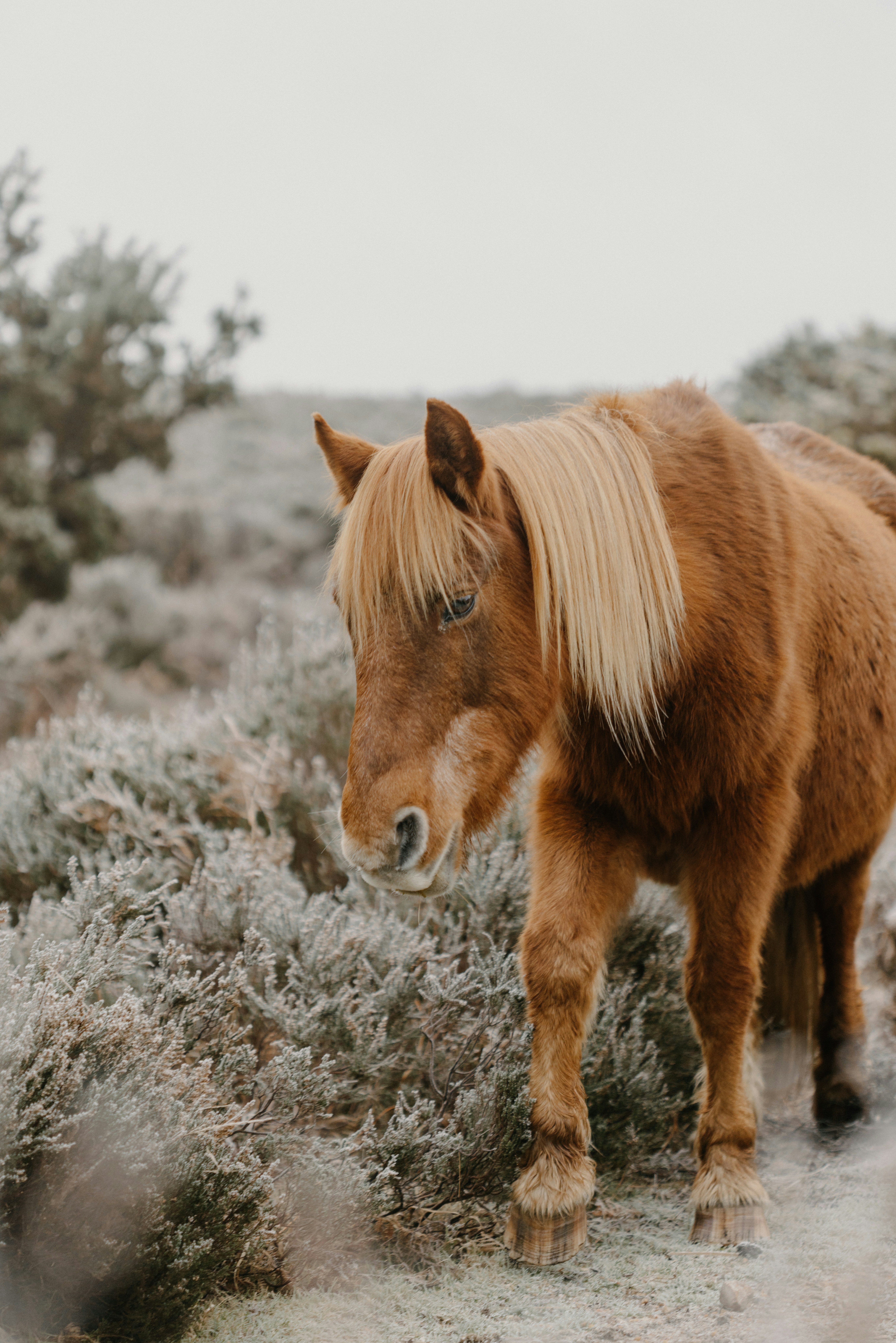 Photo by anniespratt