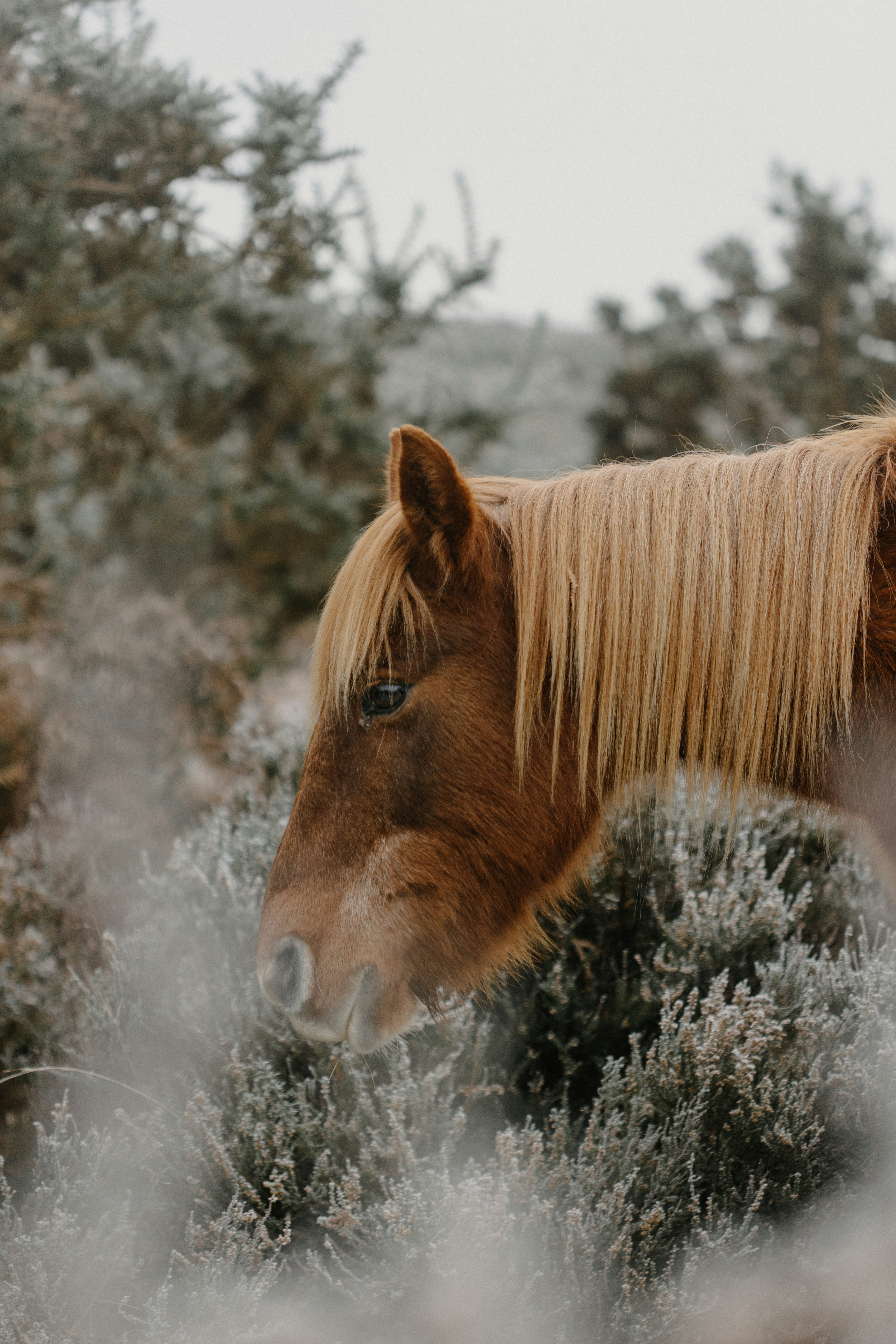 Photo by anniespratt