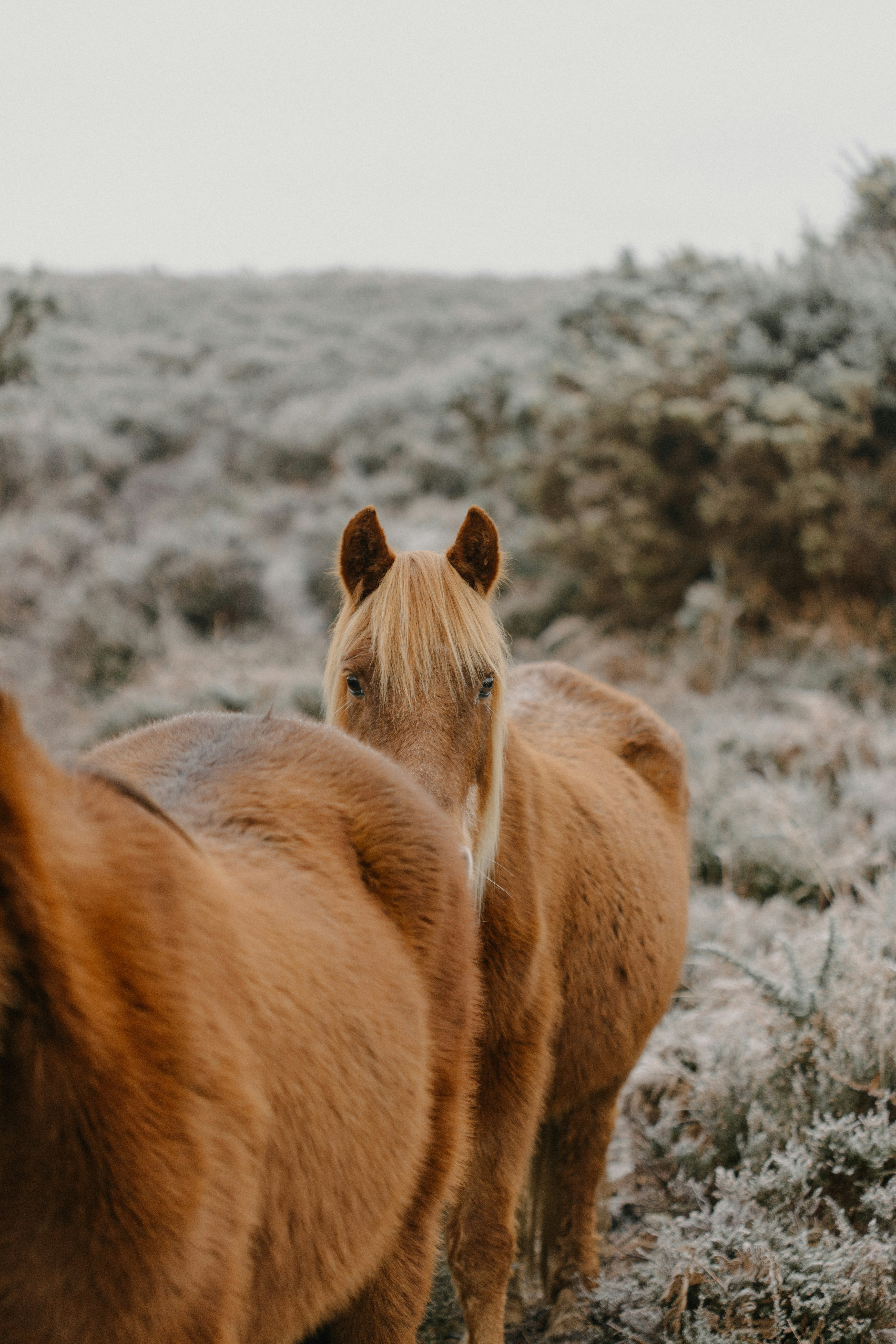 Photo by anniespratt