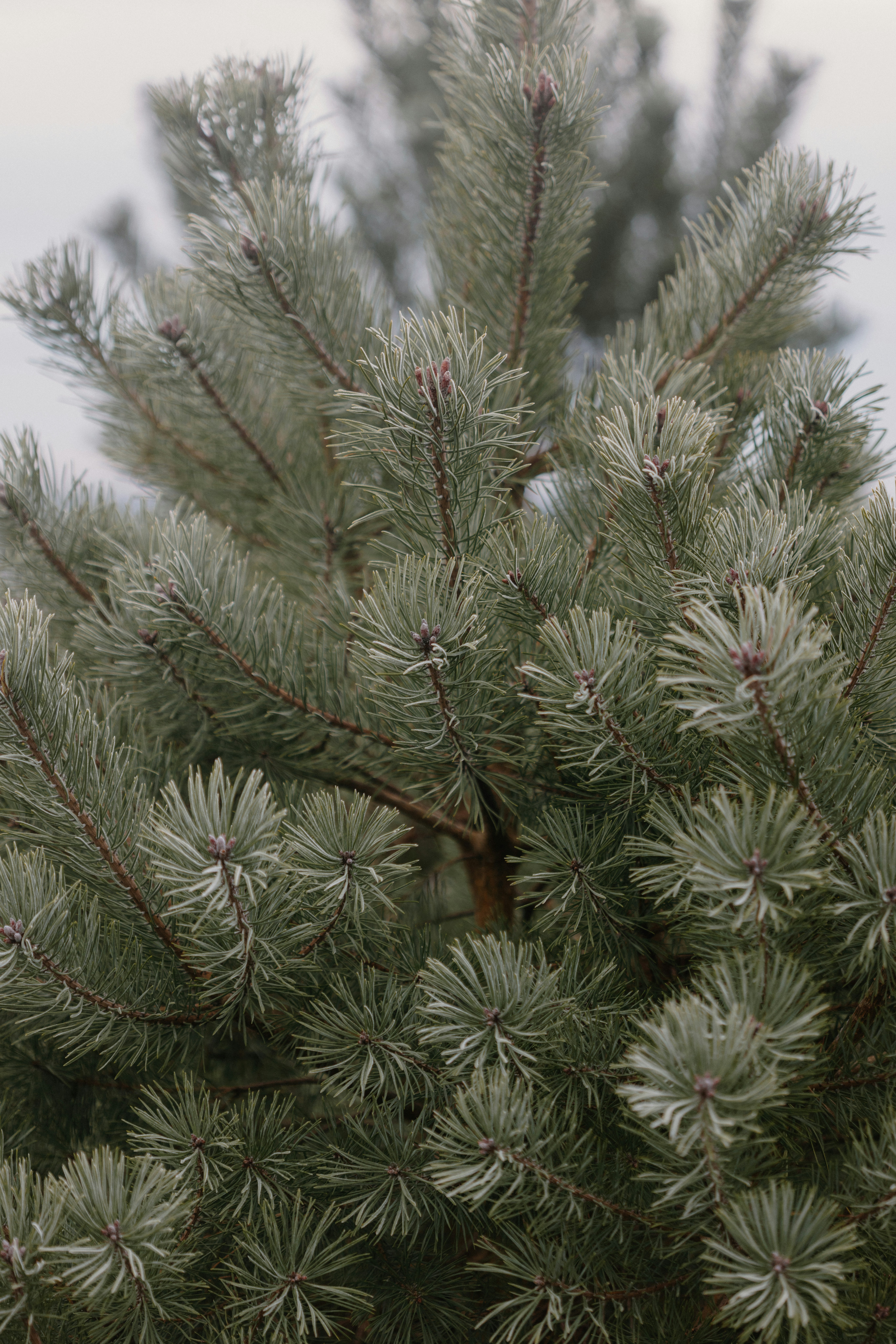 Photo by anniespratt