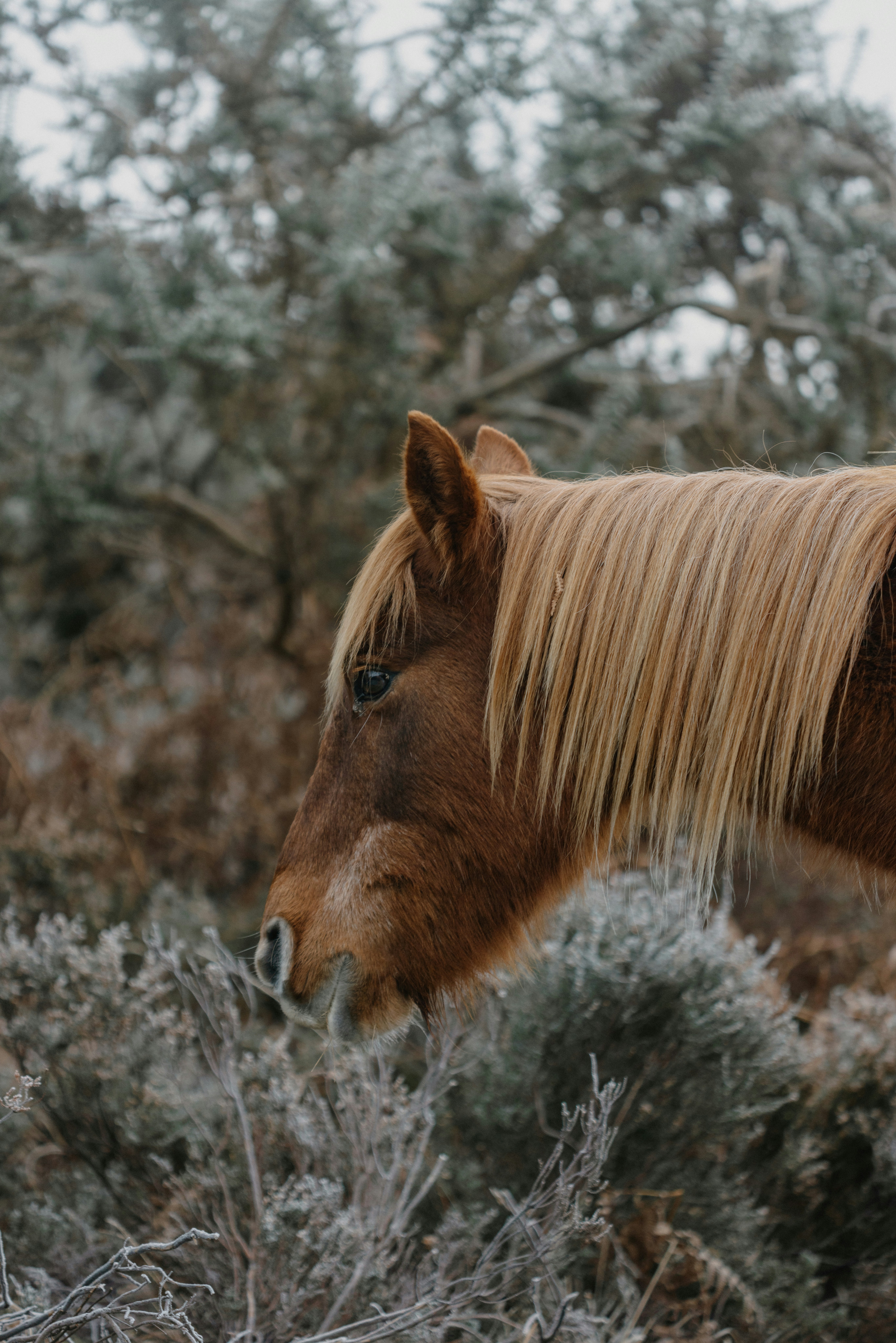 Photo by anniespratt