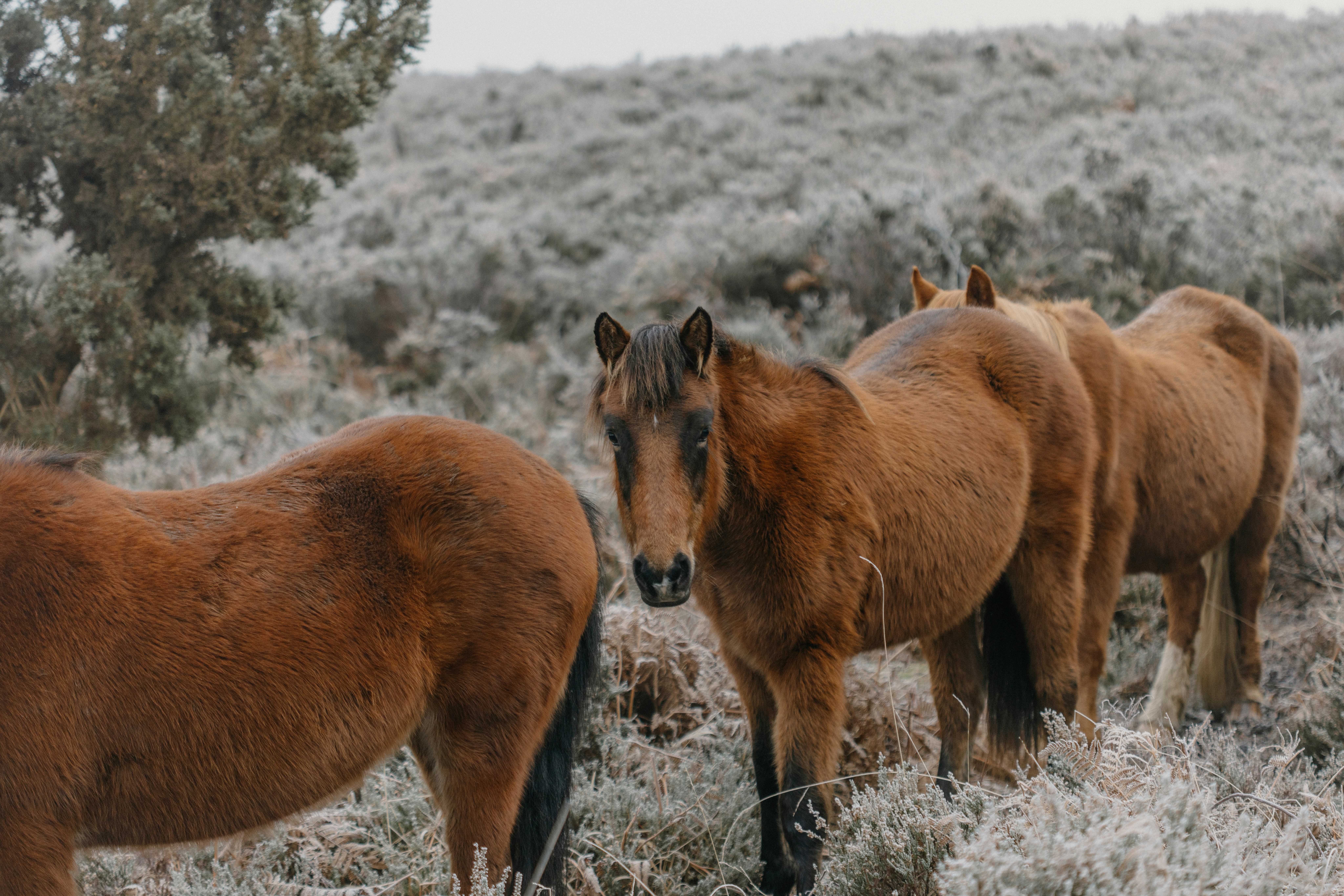 Photo by anniespratt