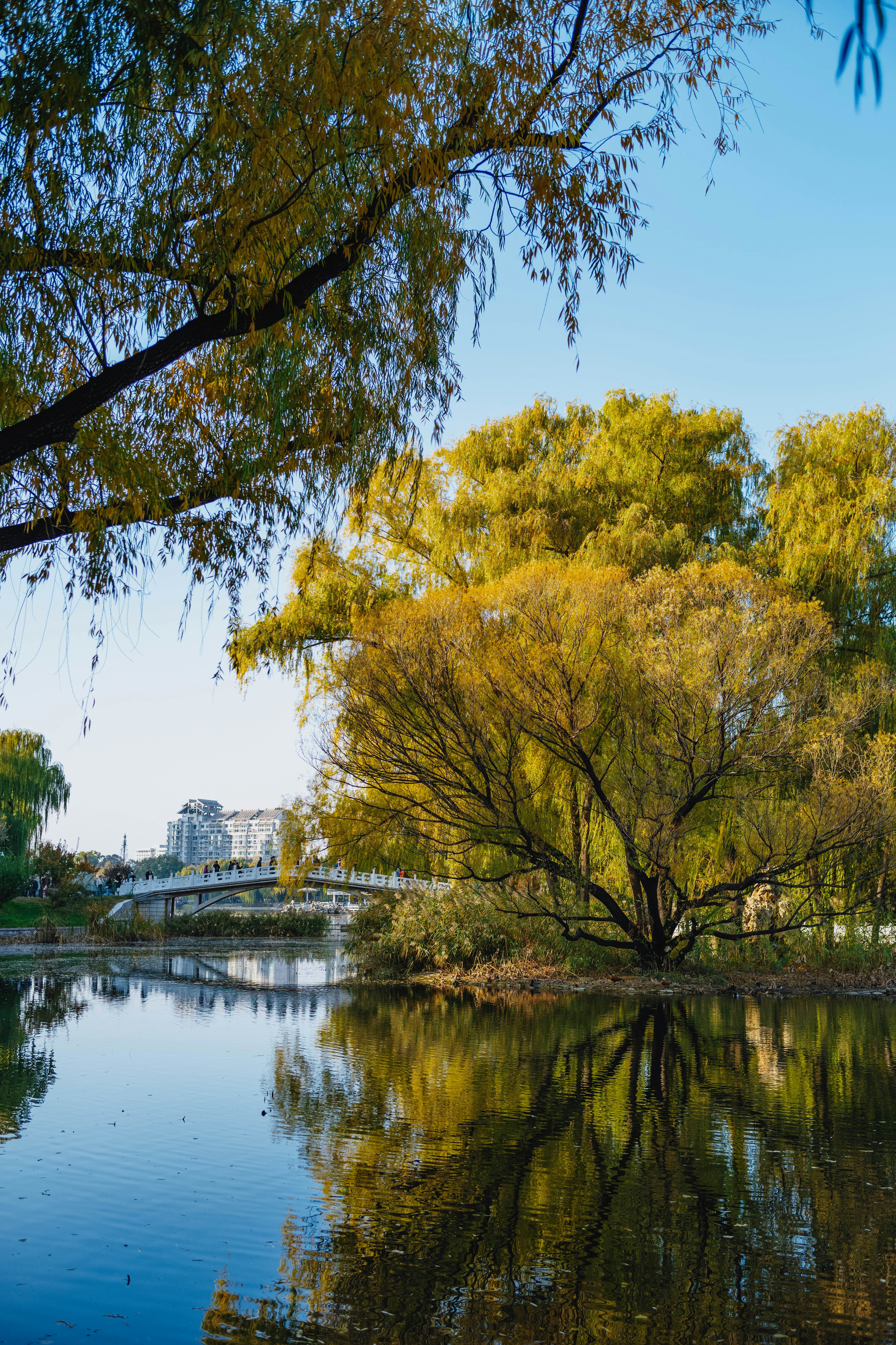 Photo by tommaomaoer