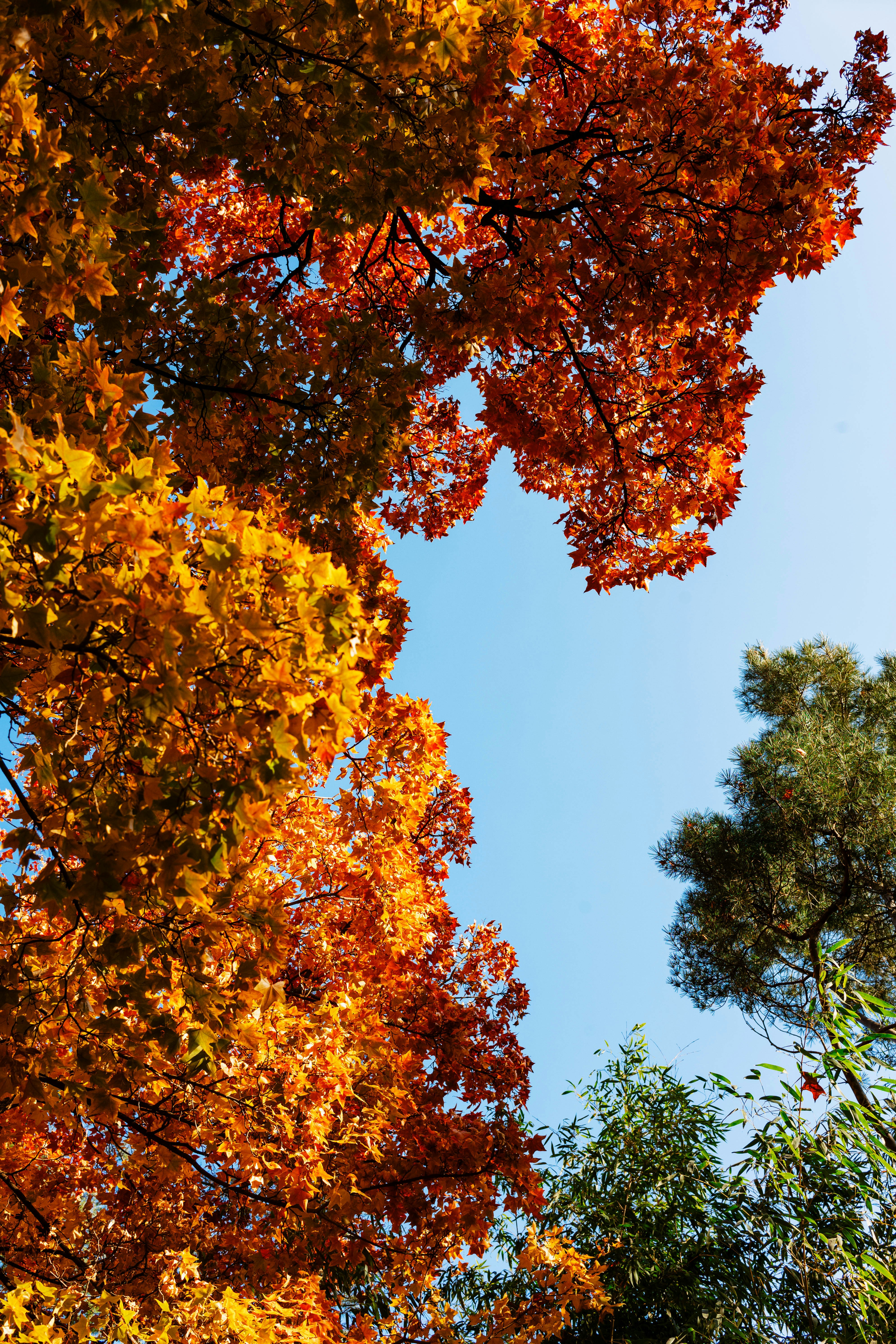 Photo by tommaomaoer