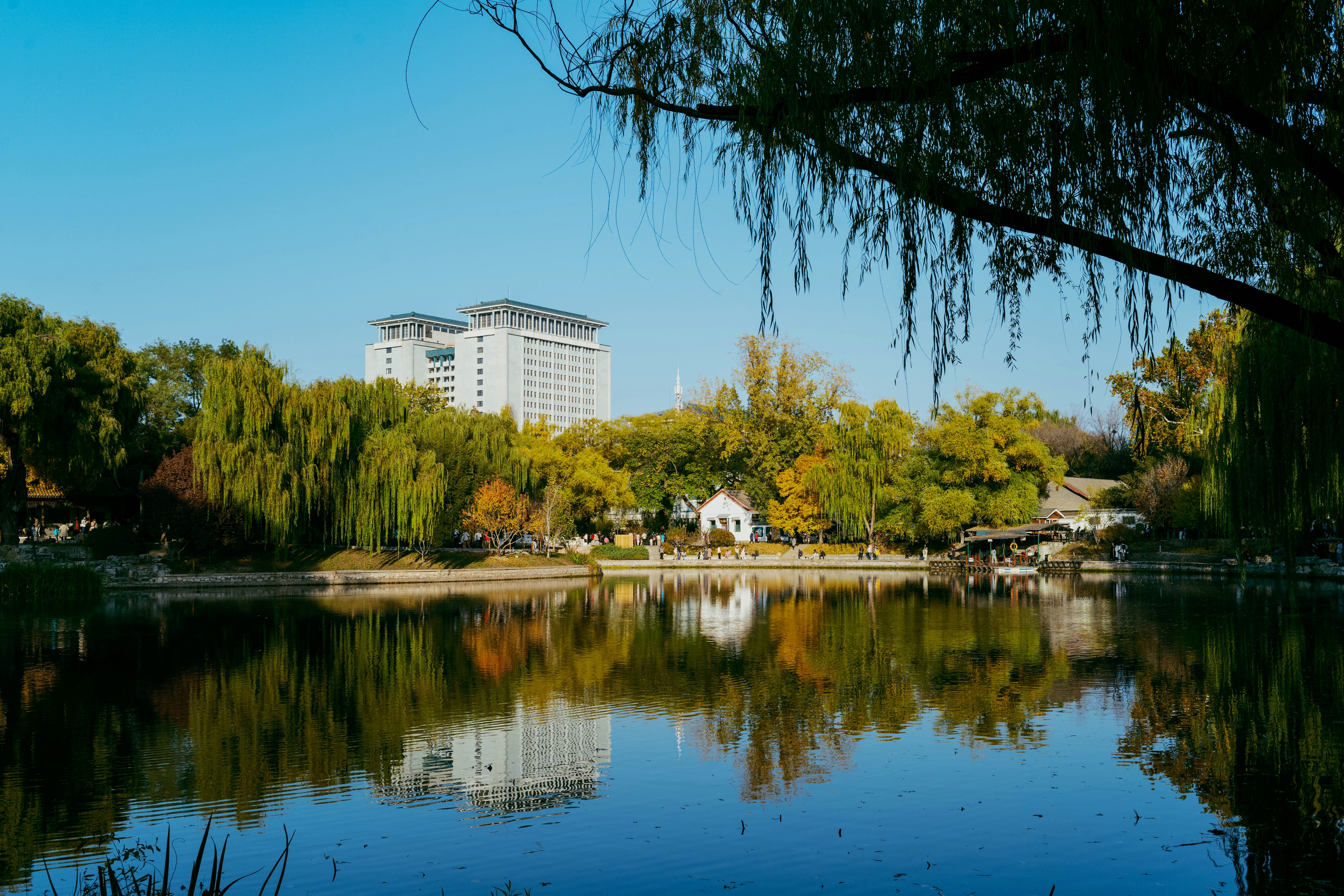 Photo by tommaomaoer