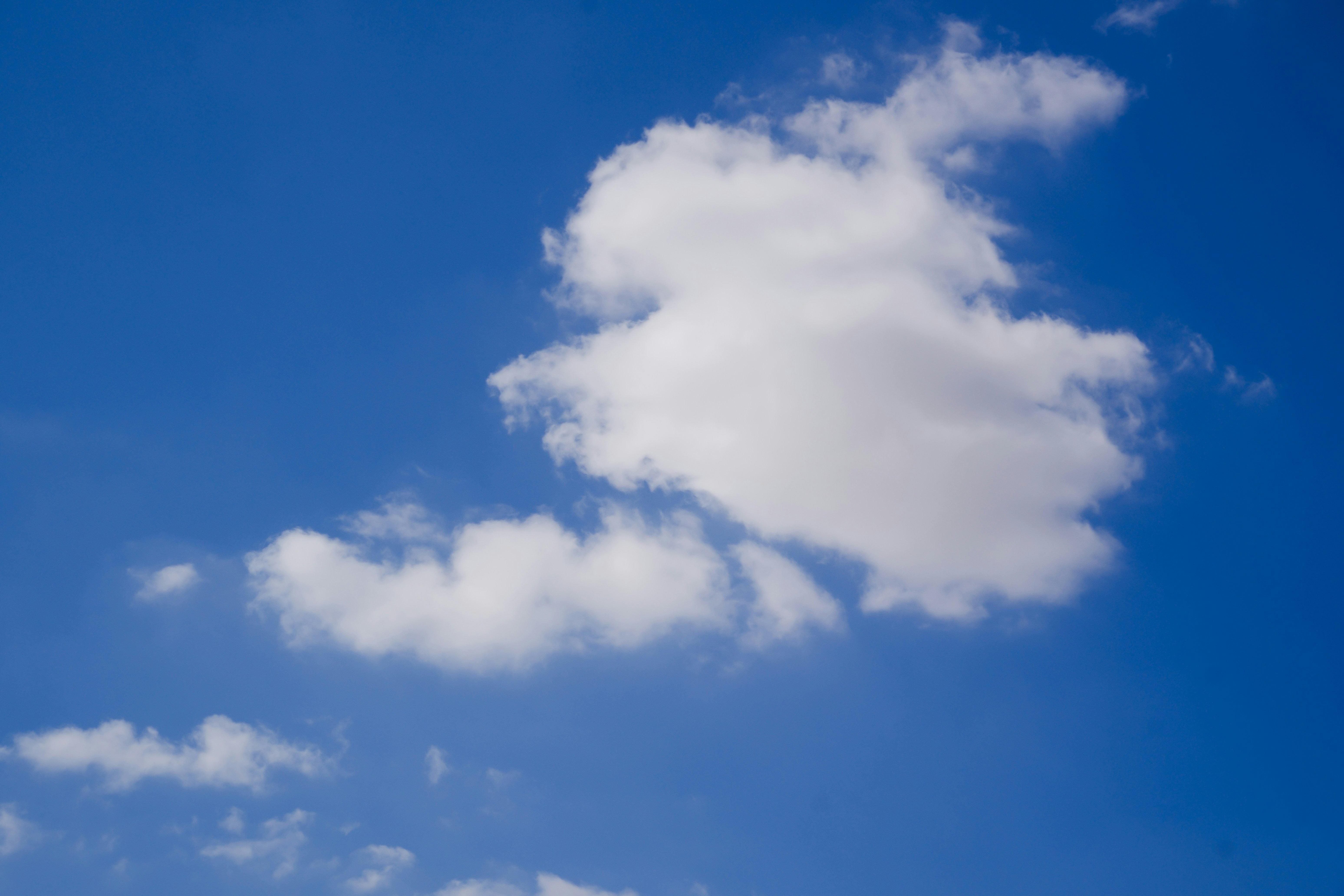 Photo by shibinjoseph