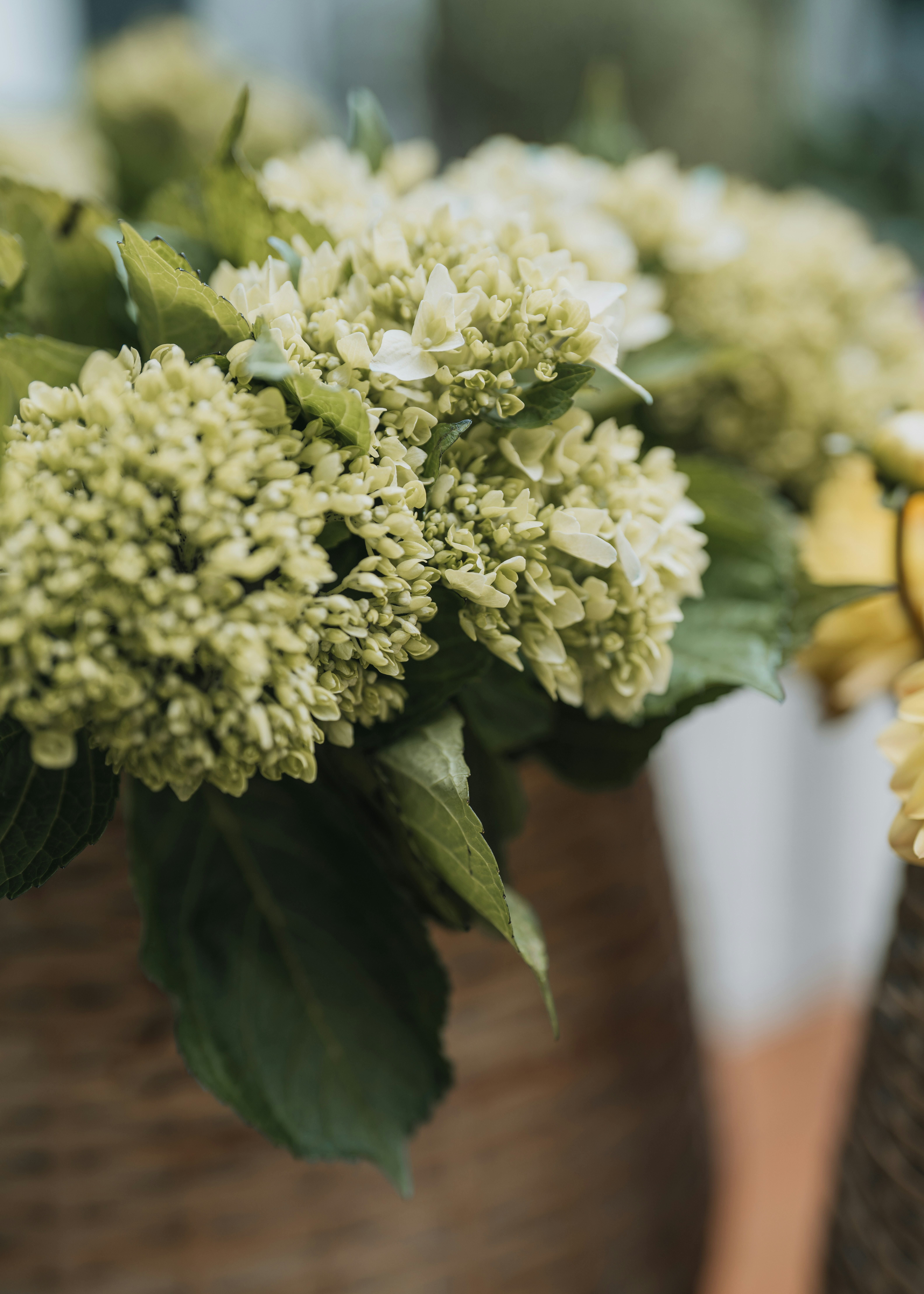 Photo by bugsandslugs