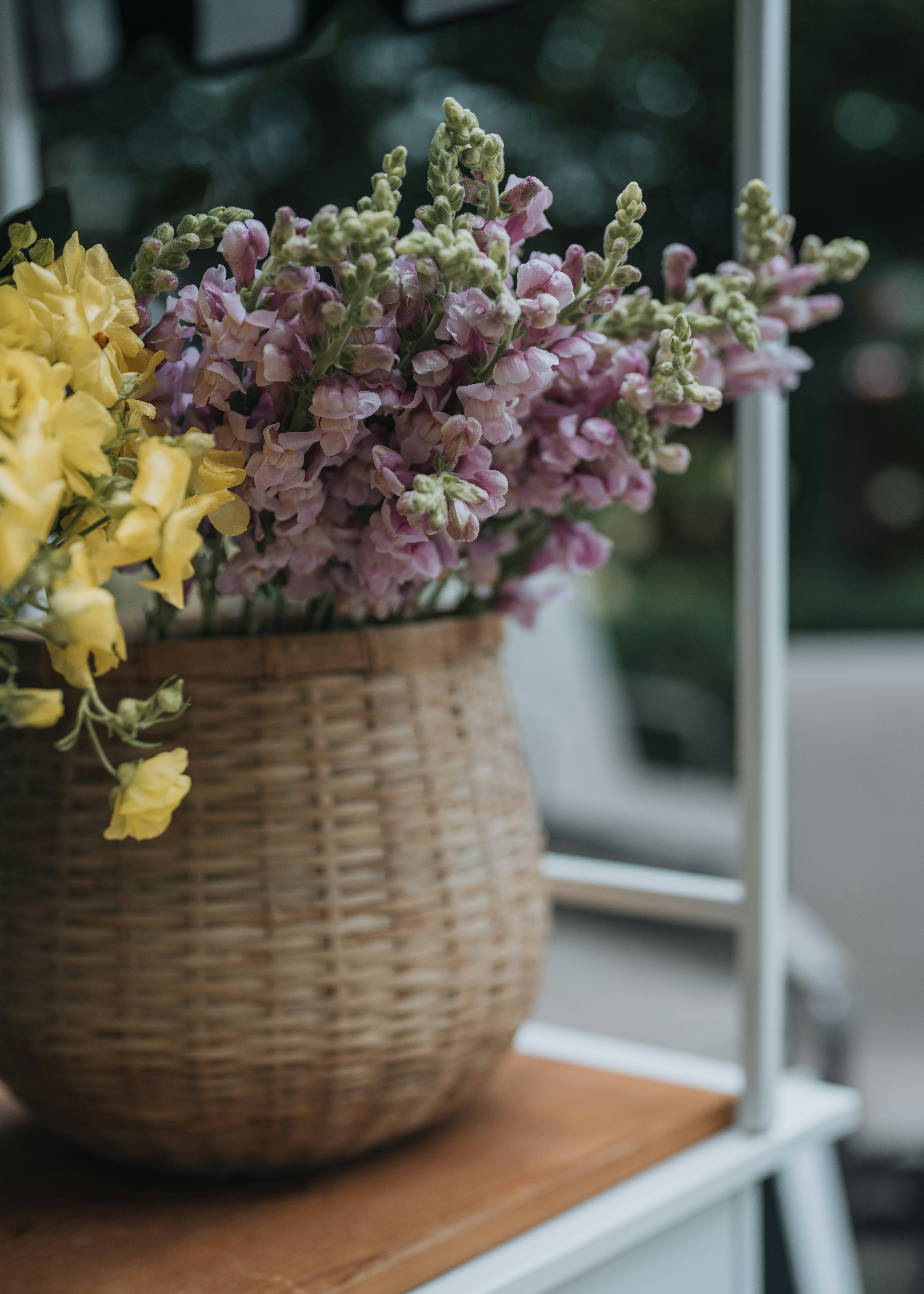 Photo by bugsandslugs