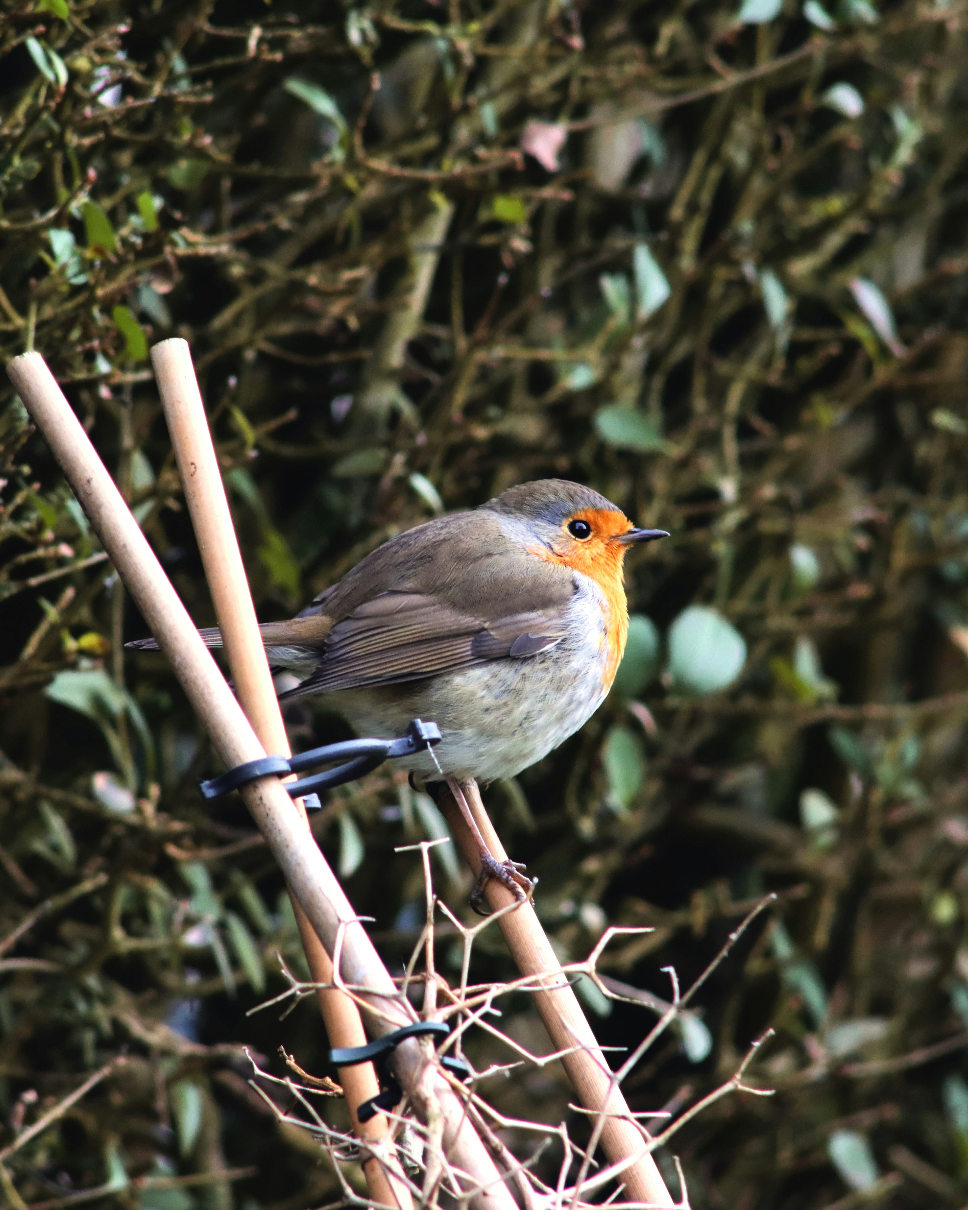 Photo by ishxmphotos