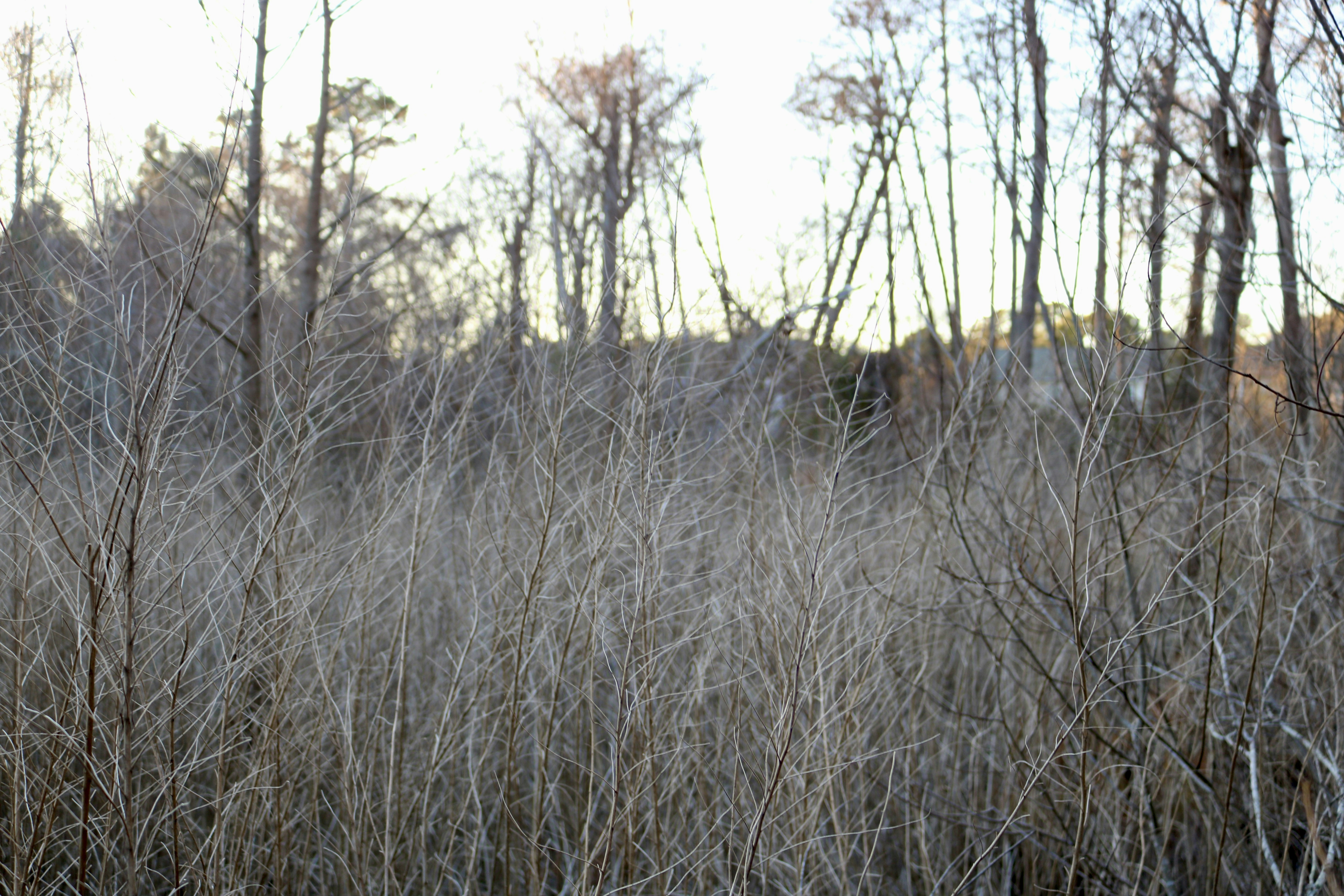Photo by sunspotss
