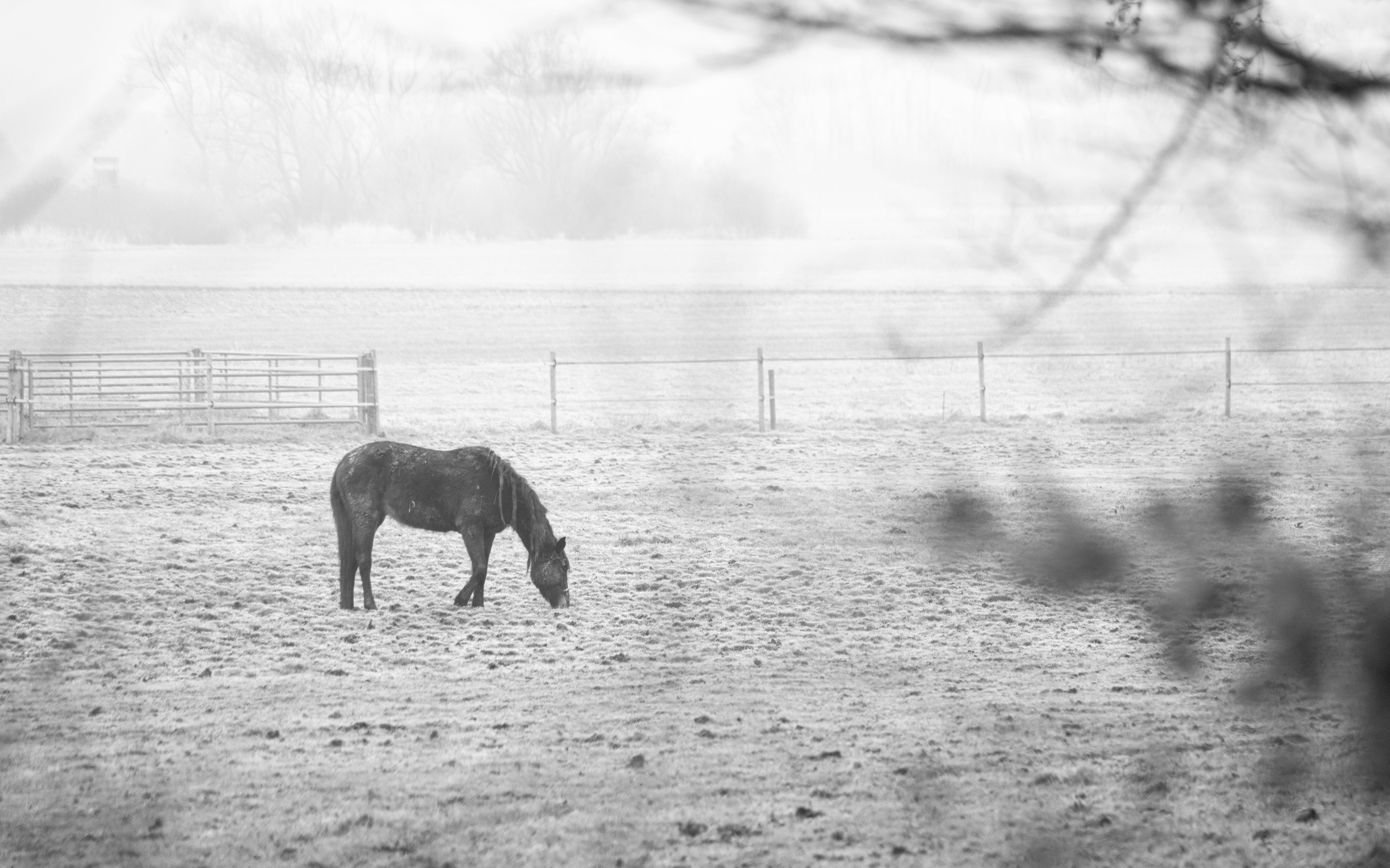 Photo by frederic_lobrutto