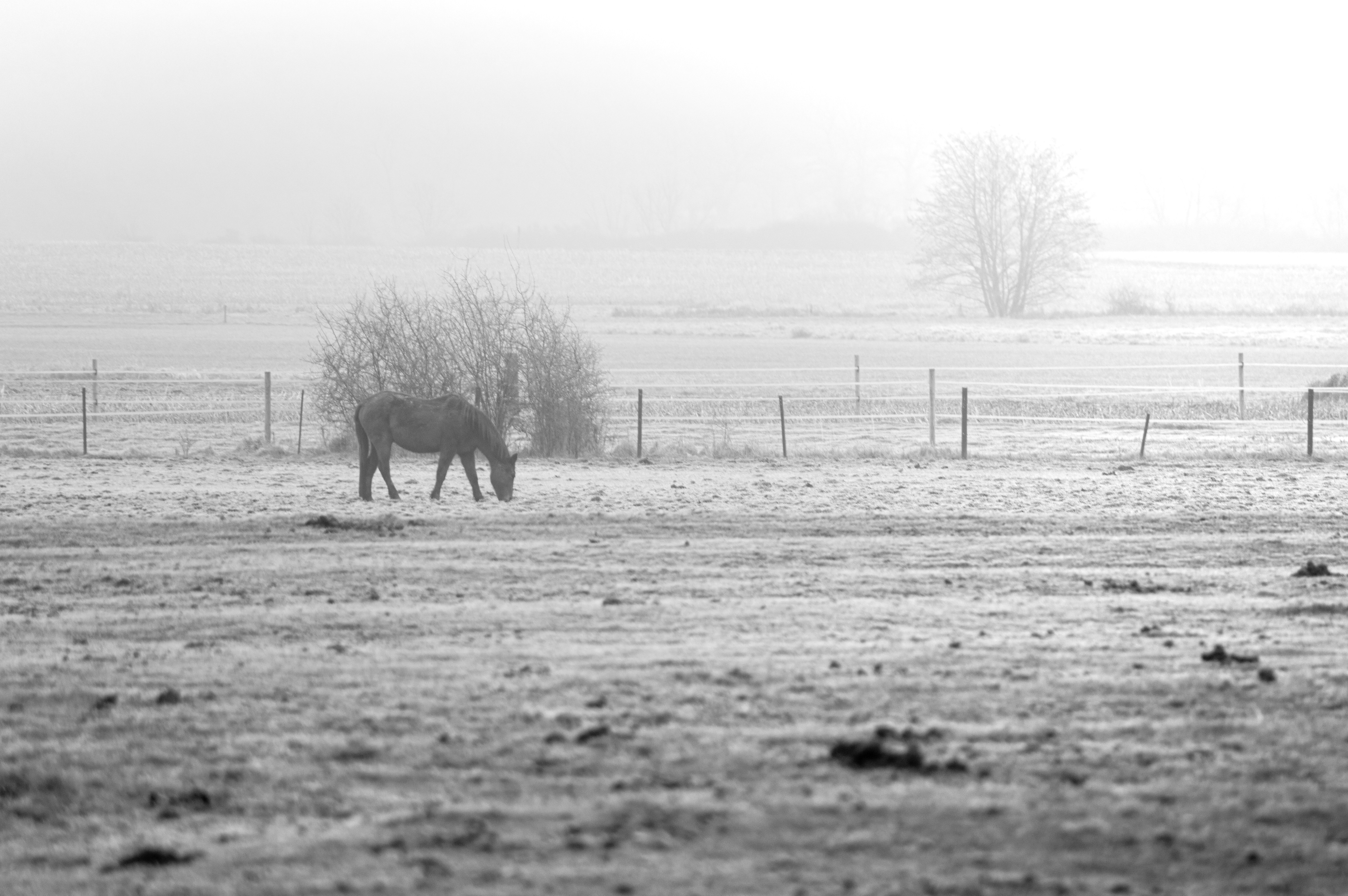 Photo by frederic_lobrutto