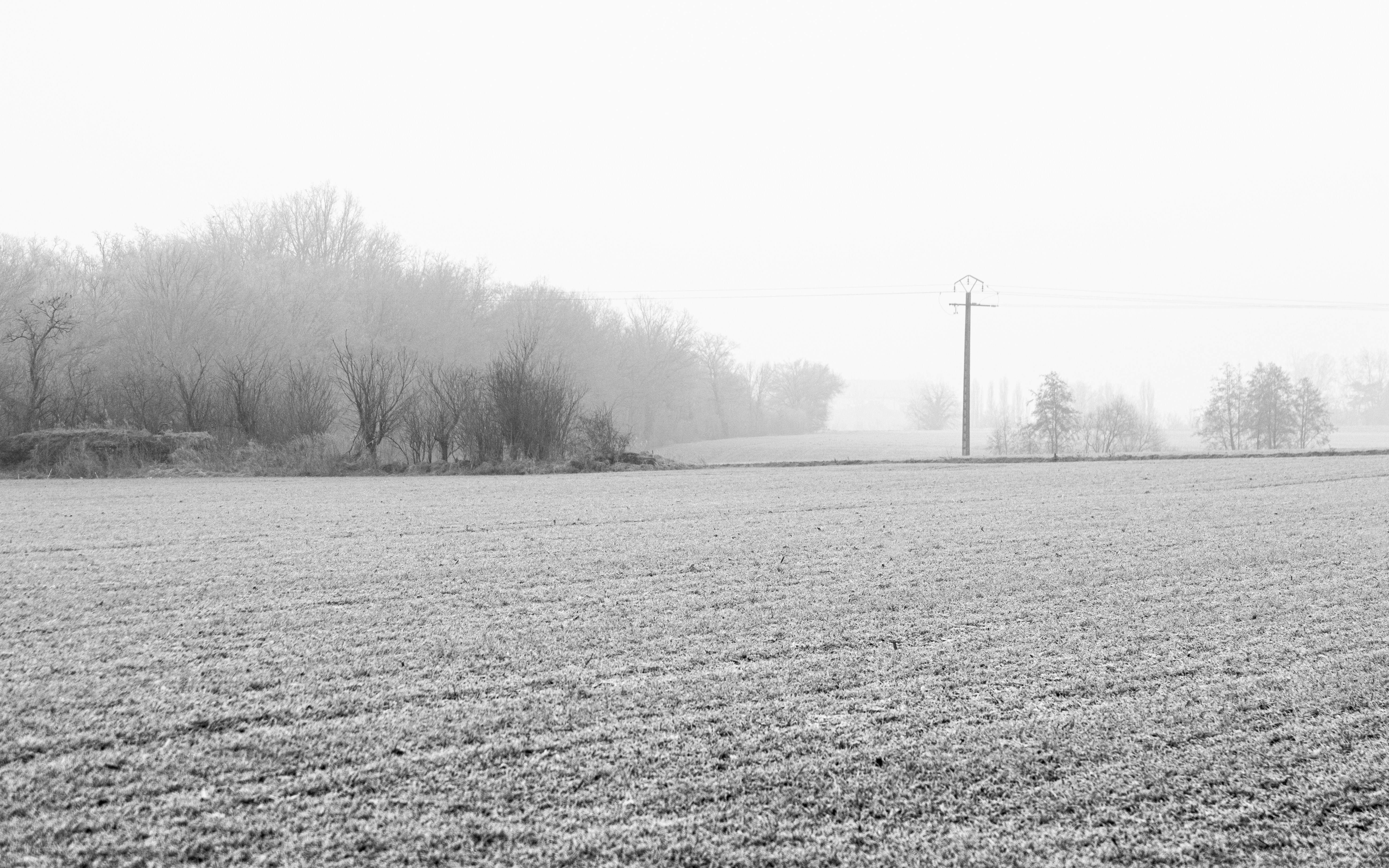 Photo by frederic_lobrutto