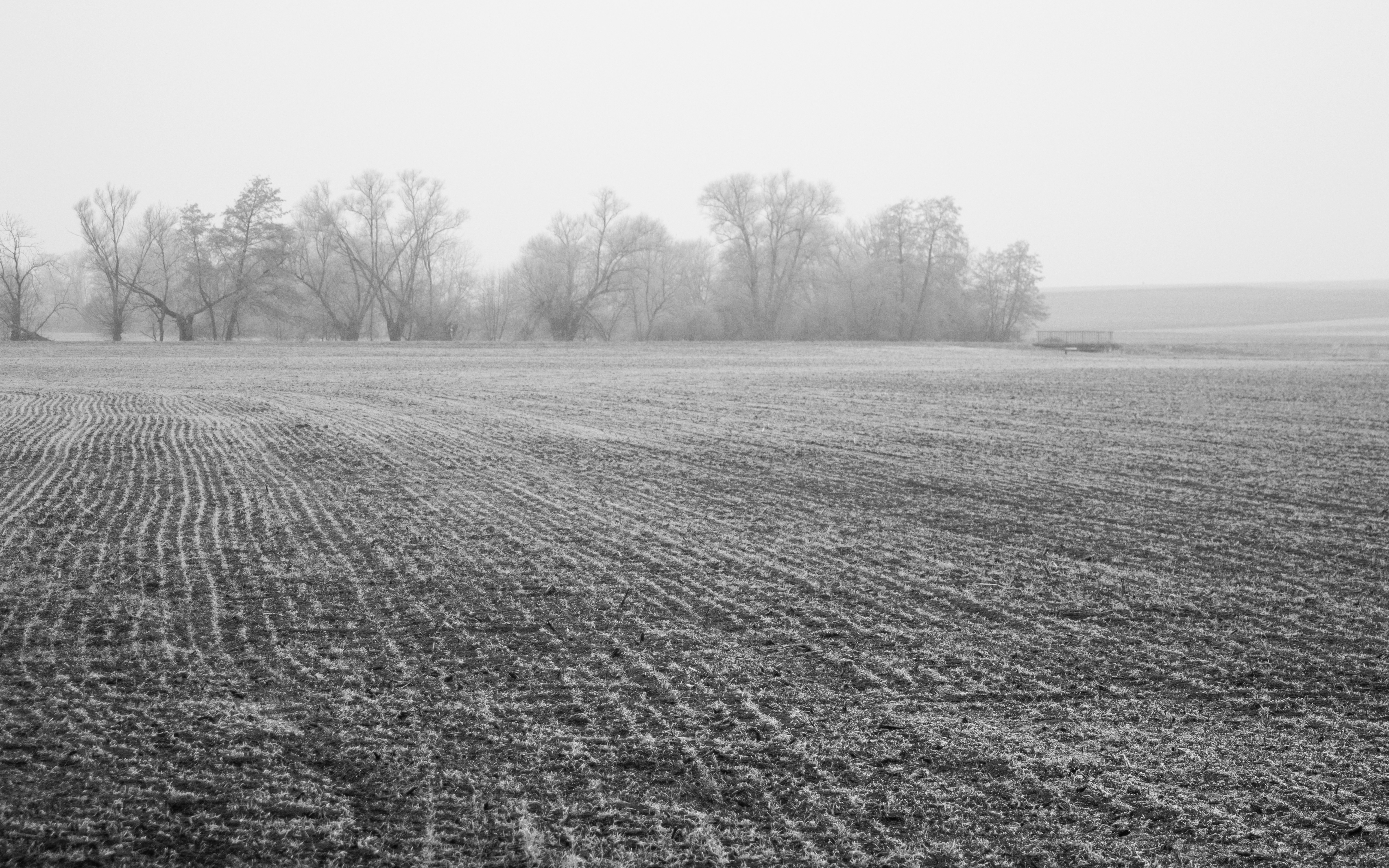 Photo by frederic_lobrutto