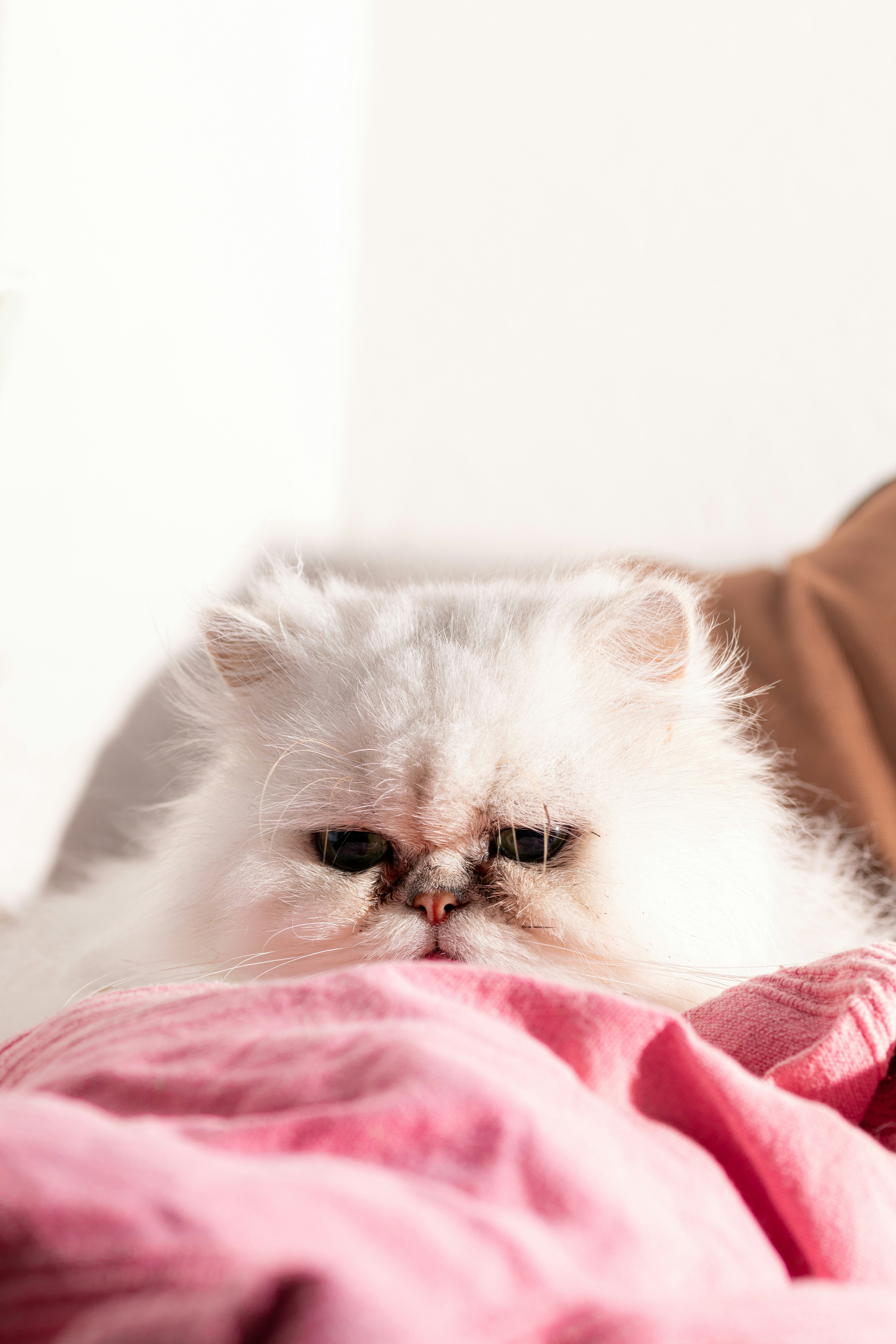 Photo by raw_negative_space