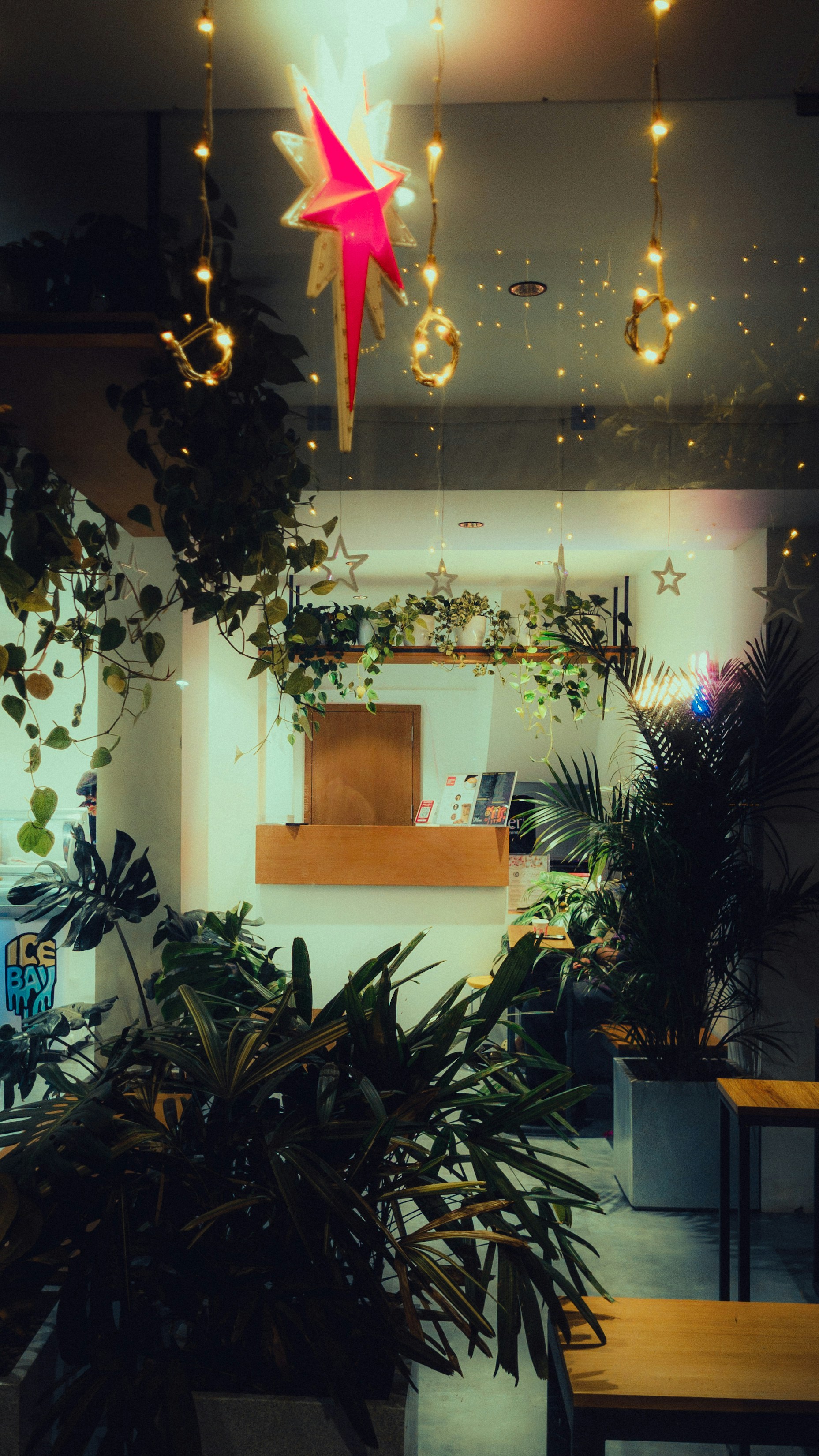 Photo by pocketpixeldiary