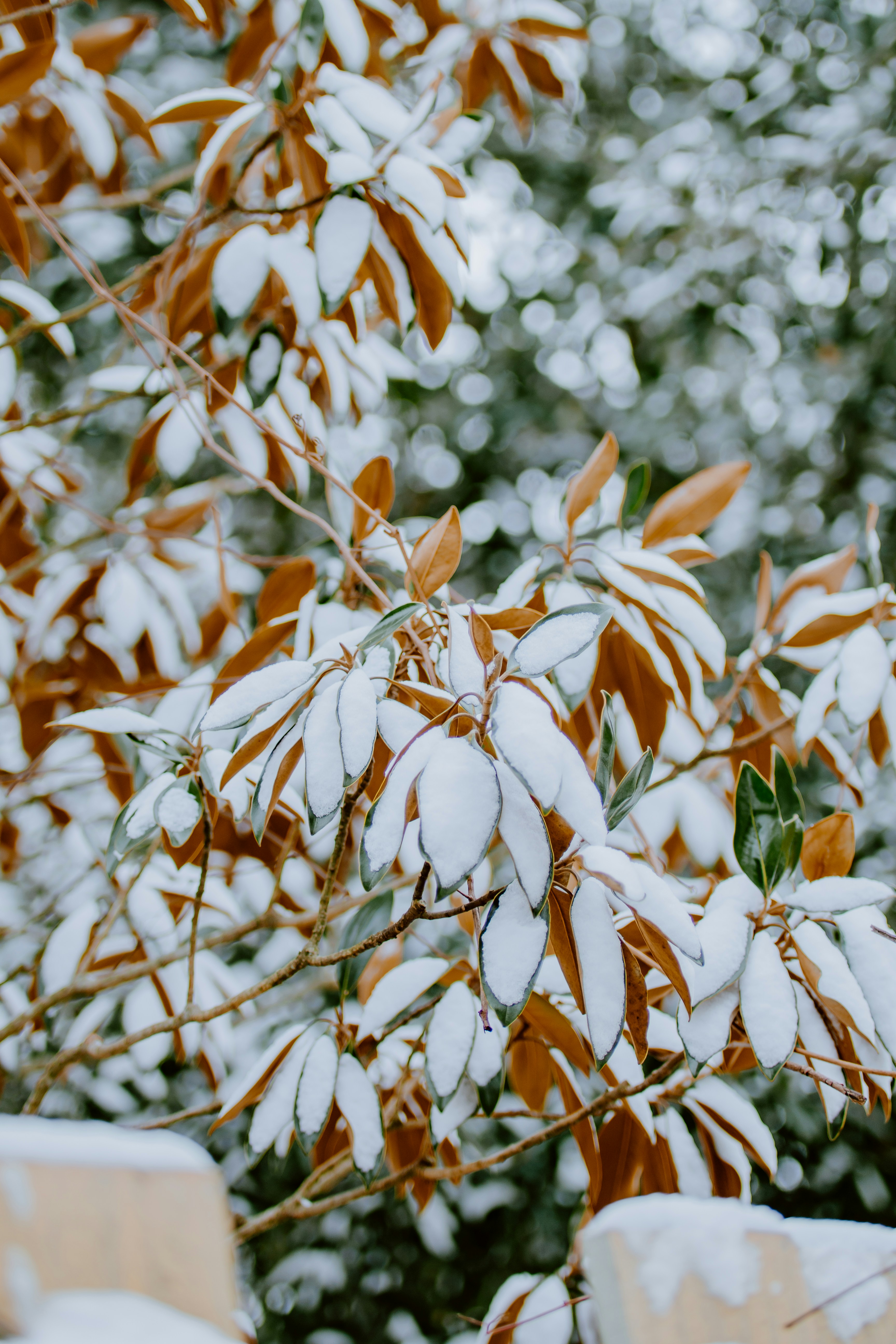 Photo by joseph_royer