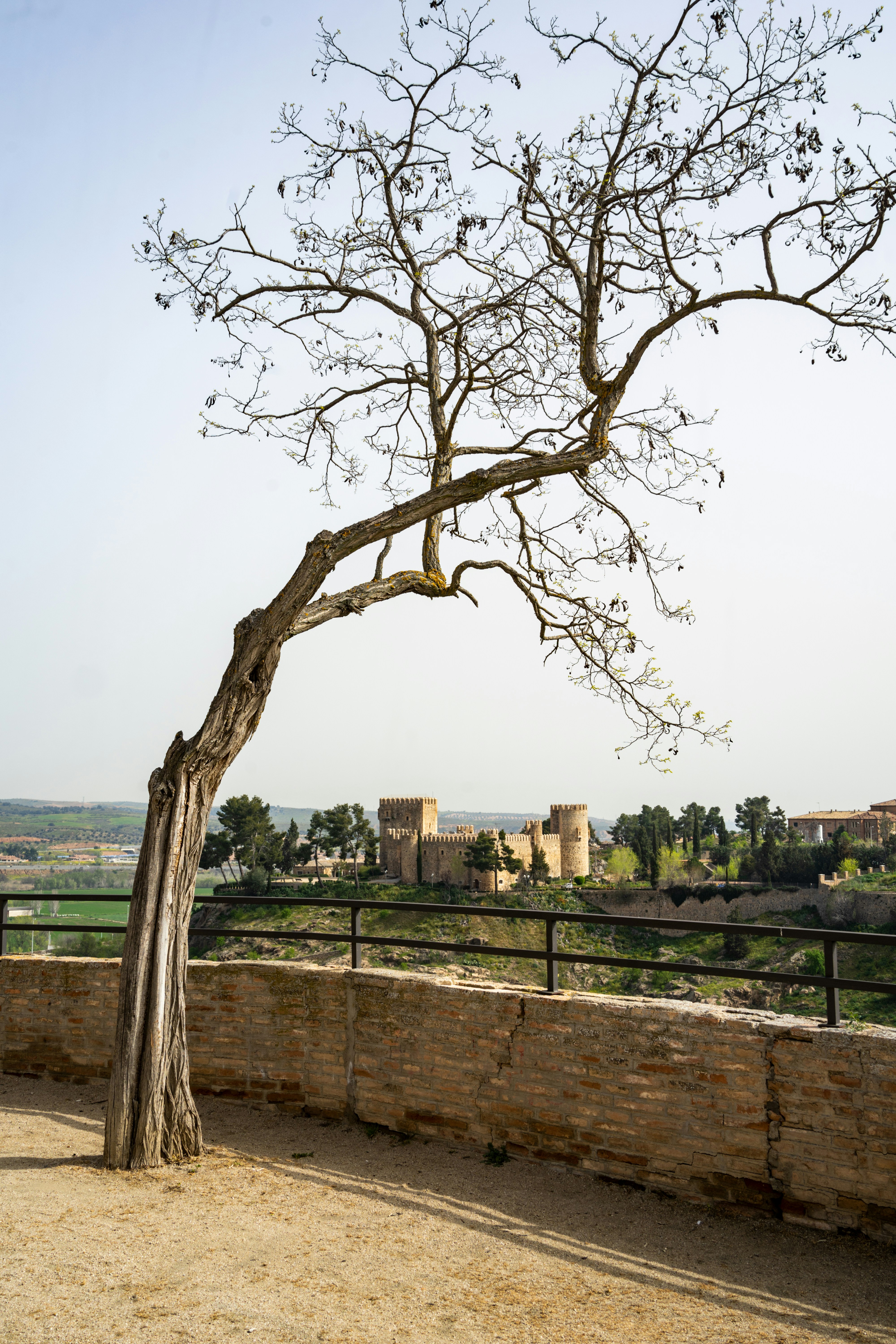 Photo by jeffreyzhang_920