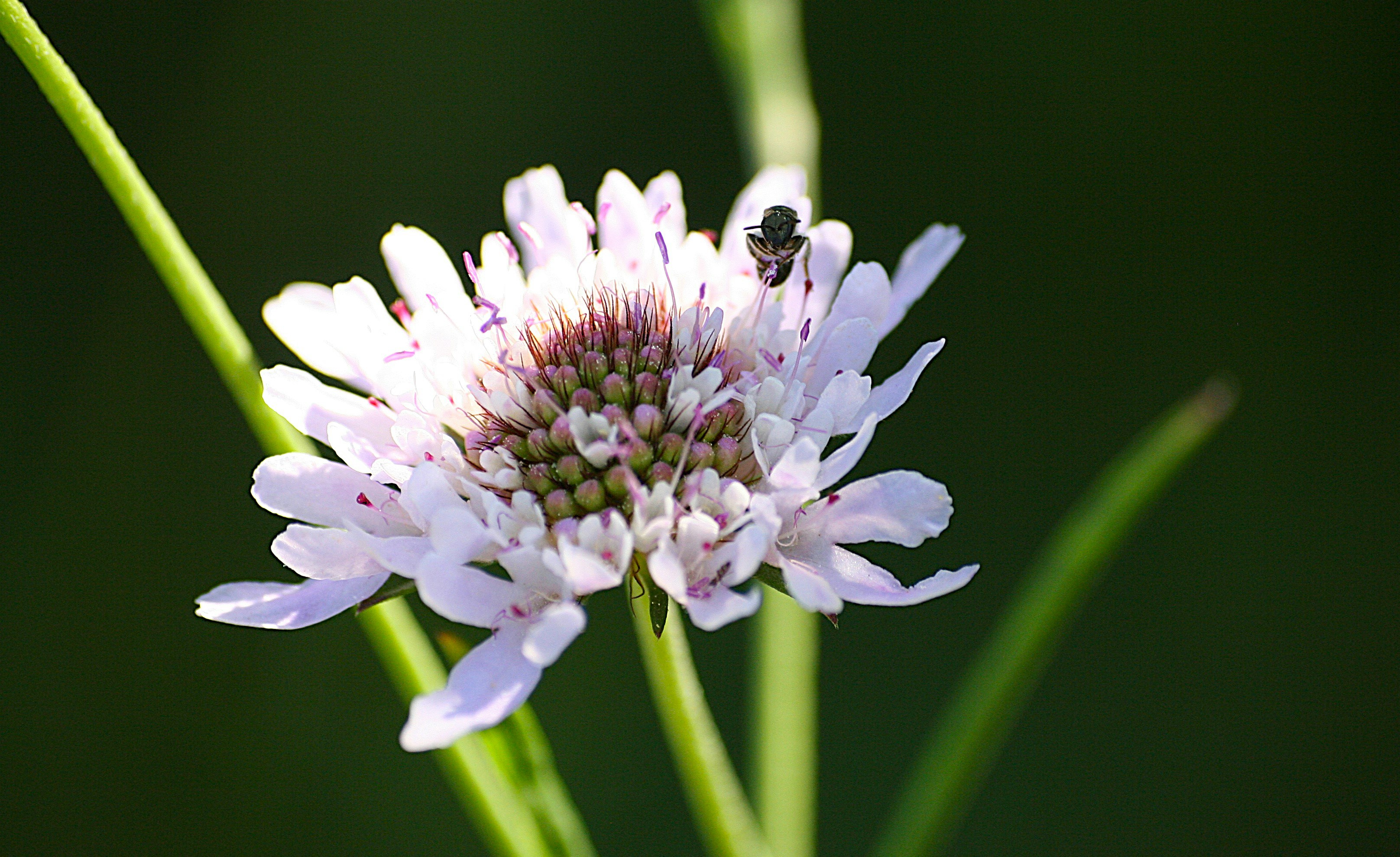 Photo by sandragayan_vincent