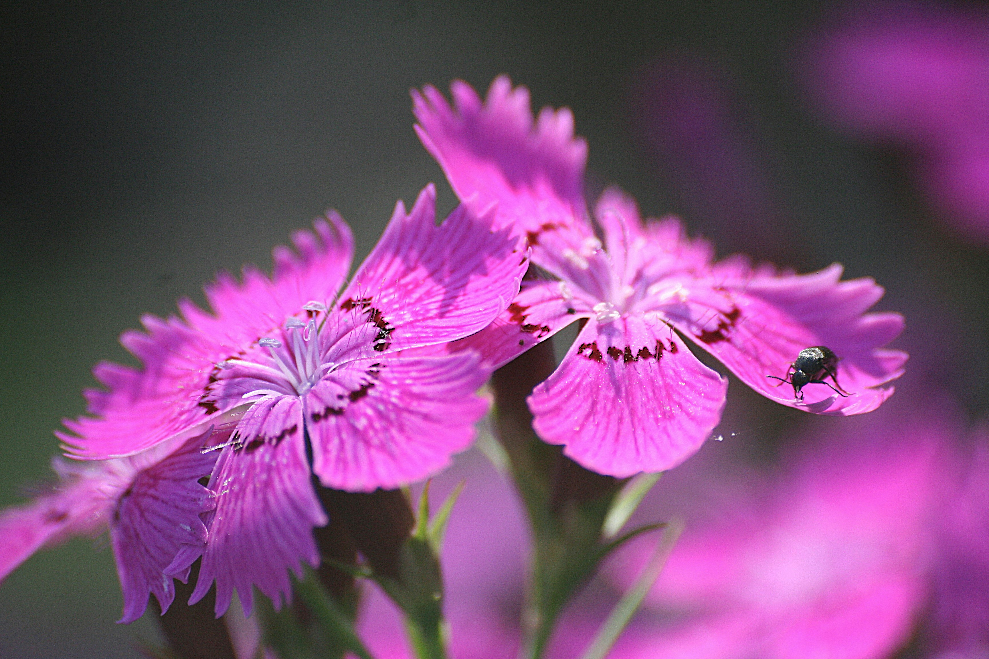 Photo by sandragayan_vincent