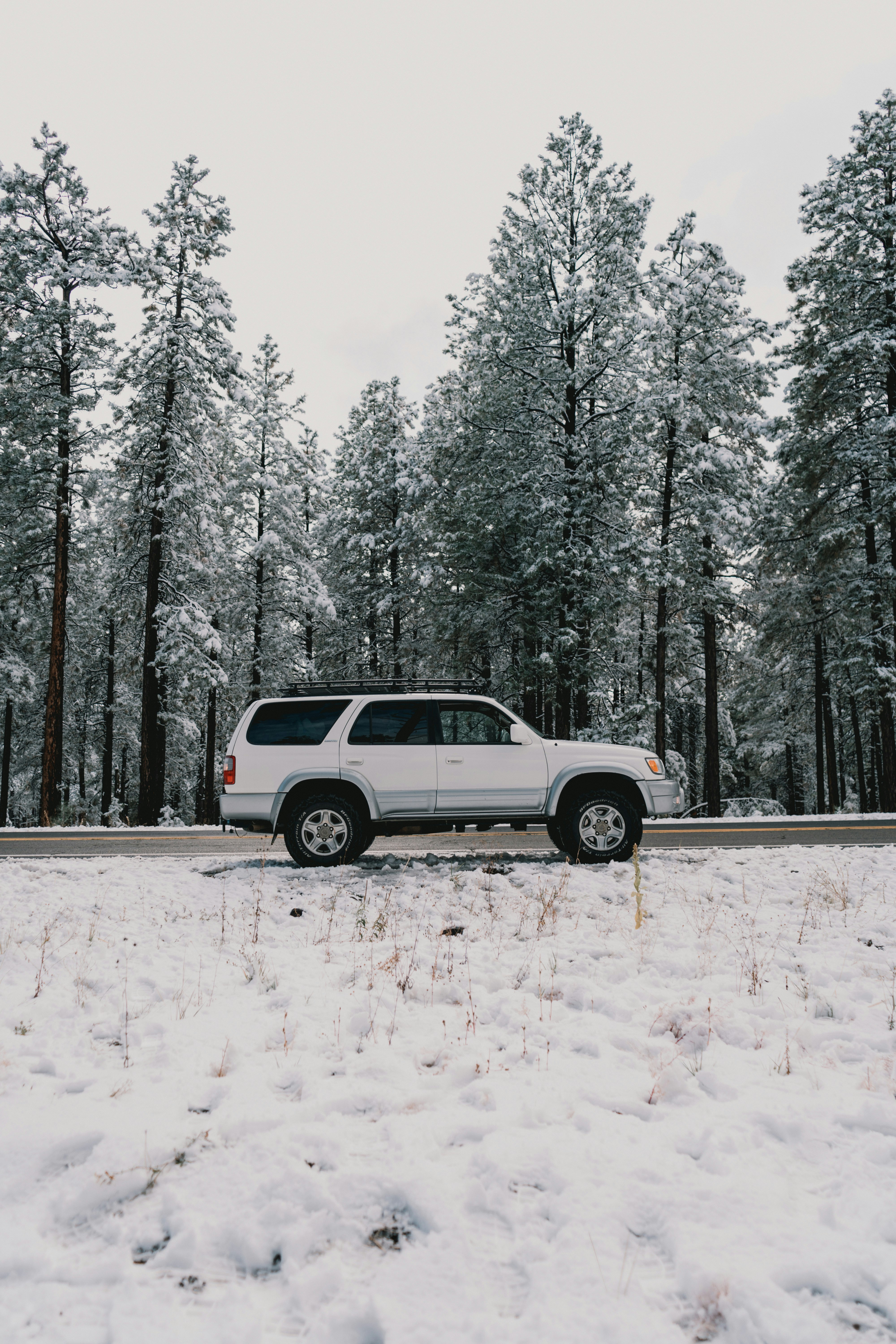 Photo by luisflores762