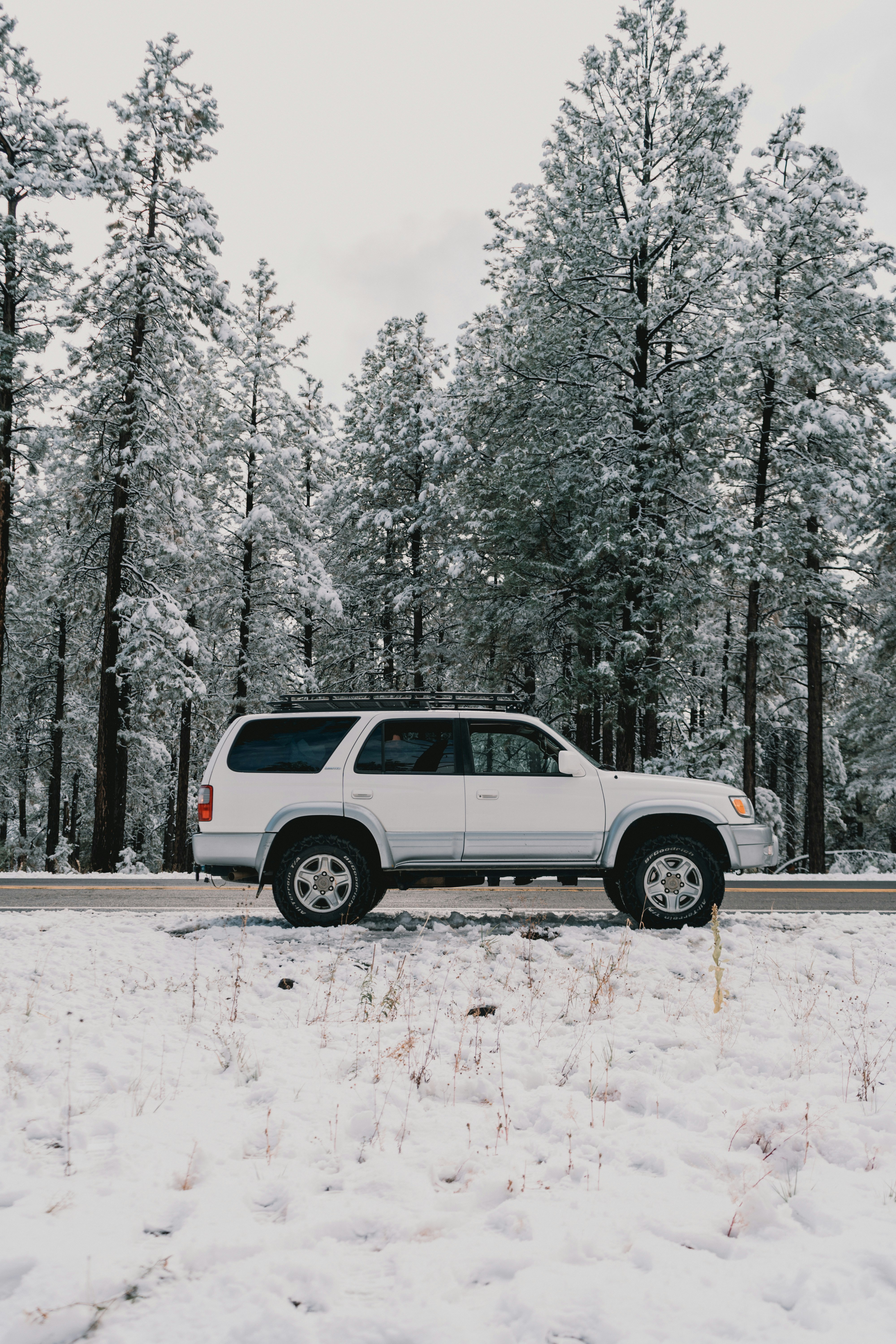 Photo by luisflores762