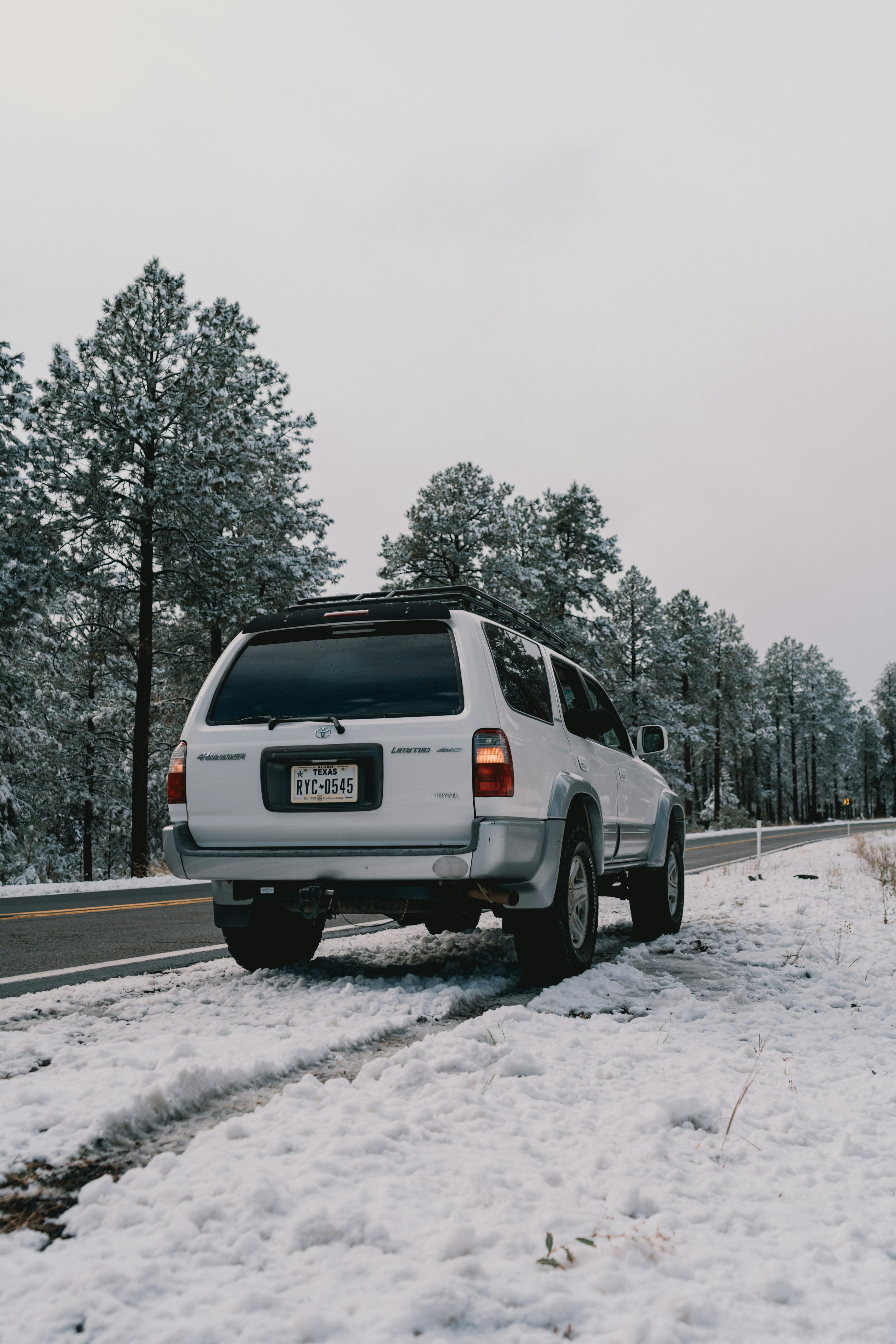 Photo by luisflores762