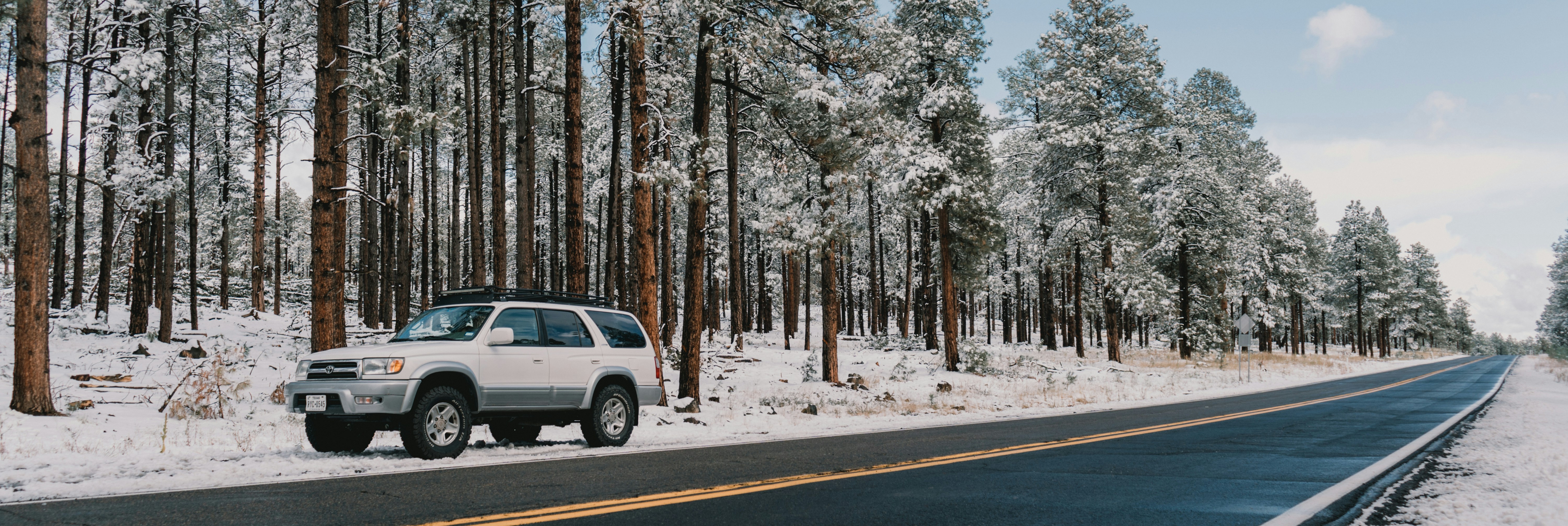 Photo by luisflores762