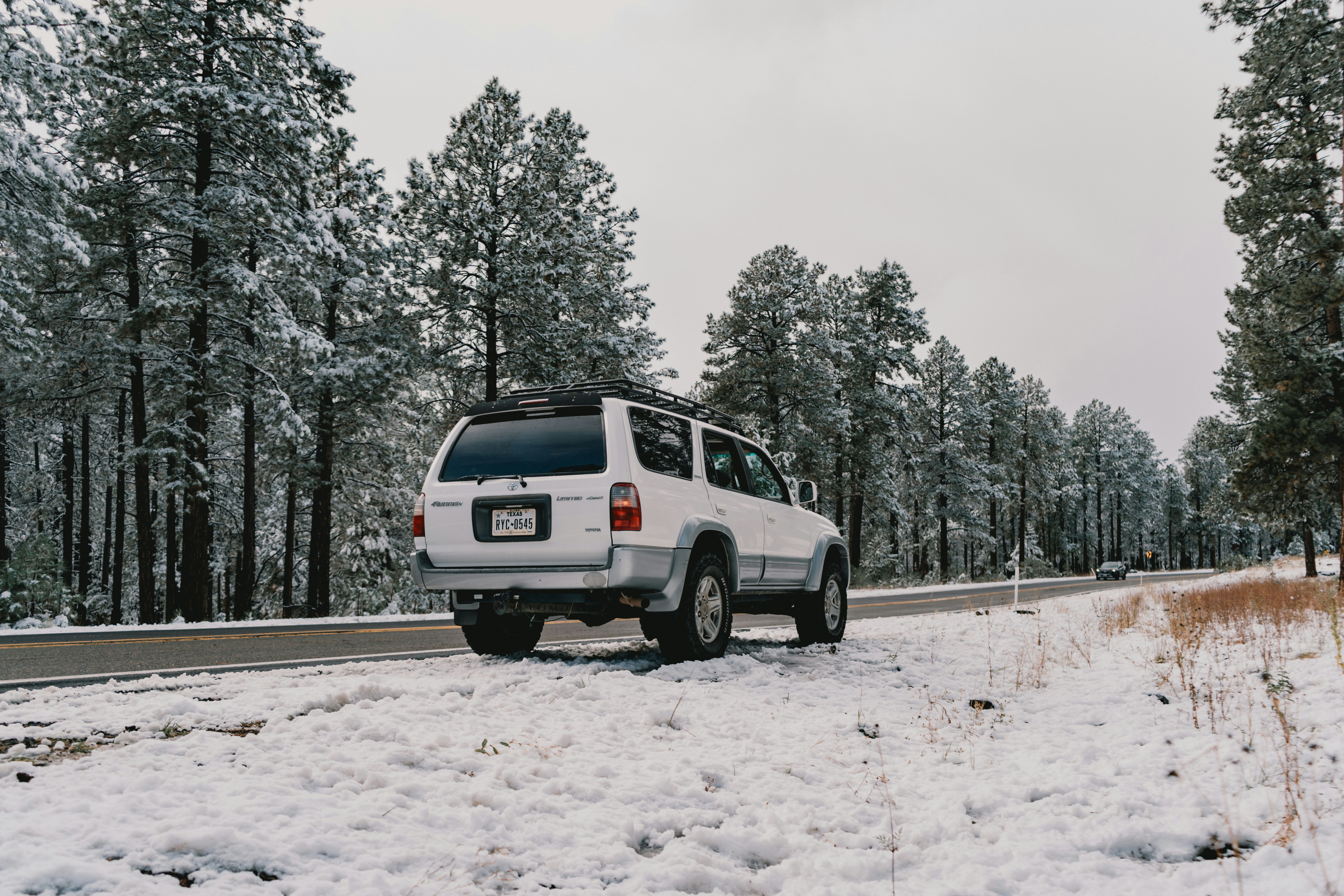 Photo by luisflores762