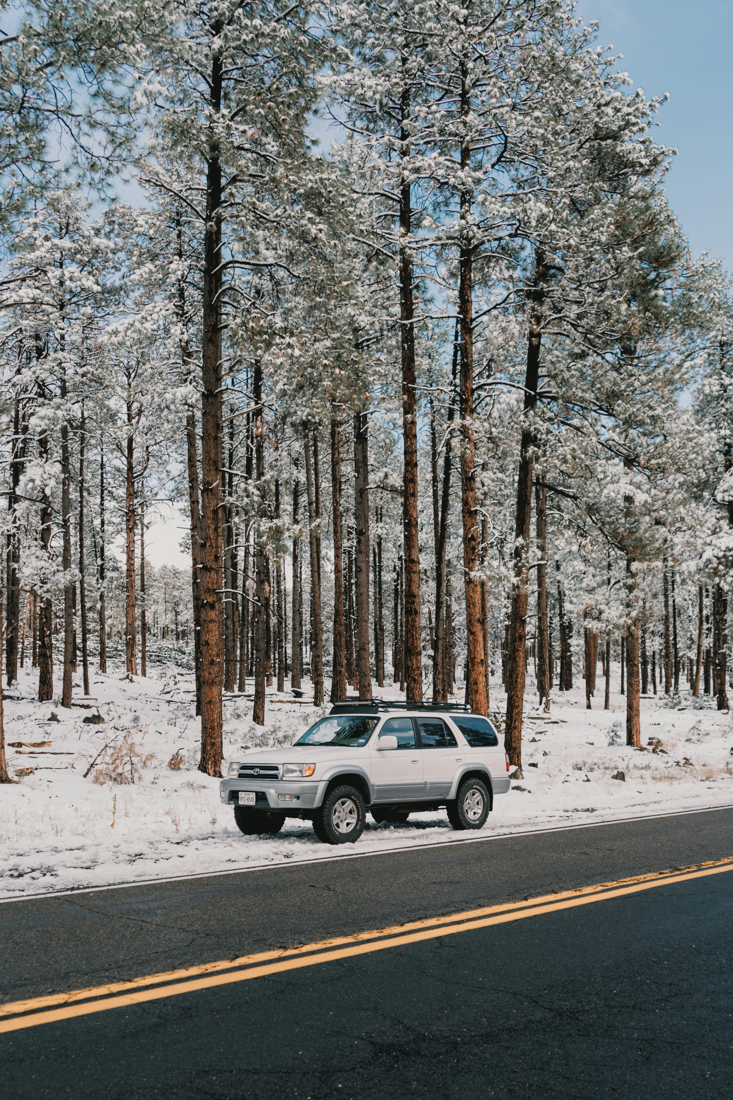 Photo by luisflores762